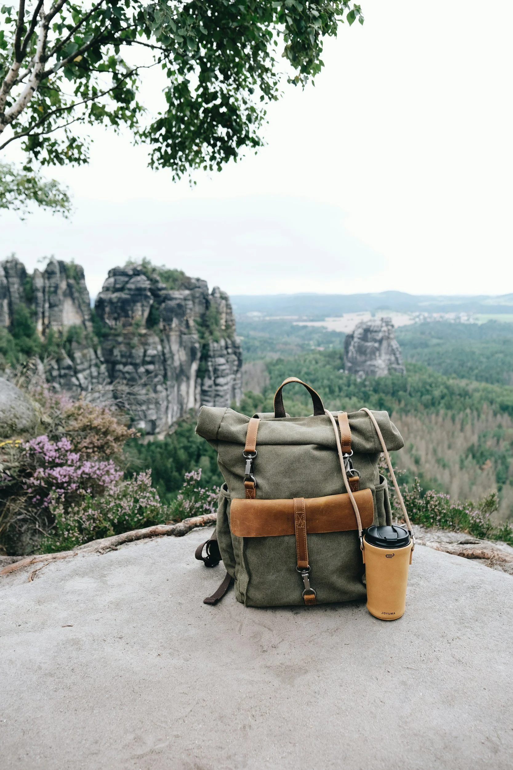 Backpack and coffee cup placed on a rock with a mountainous landscape, trees, and pink flowers in the background during daytime.