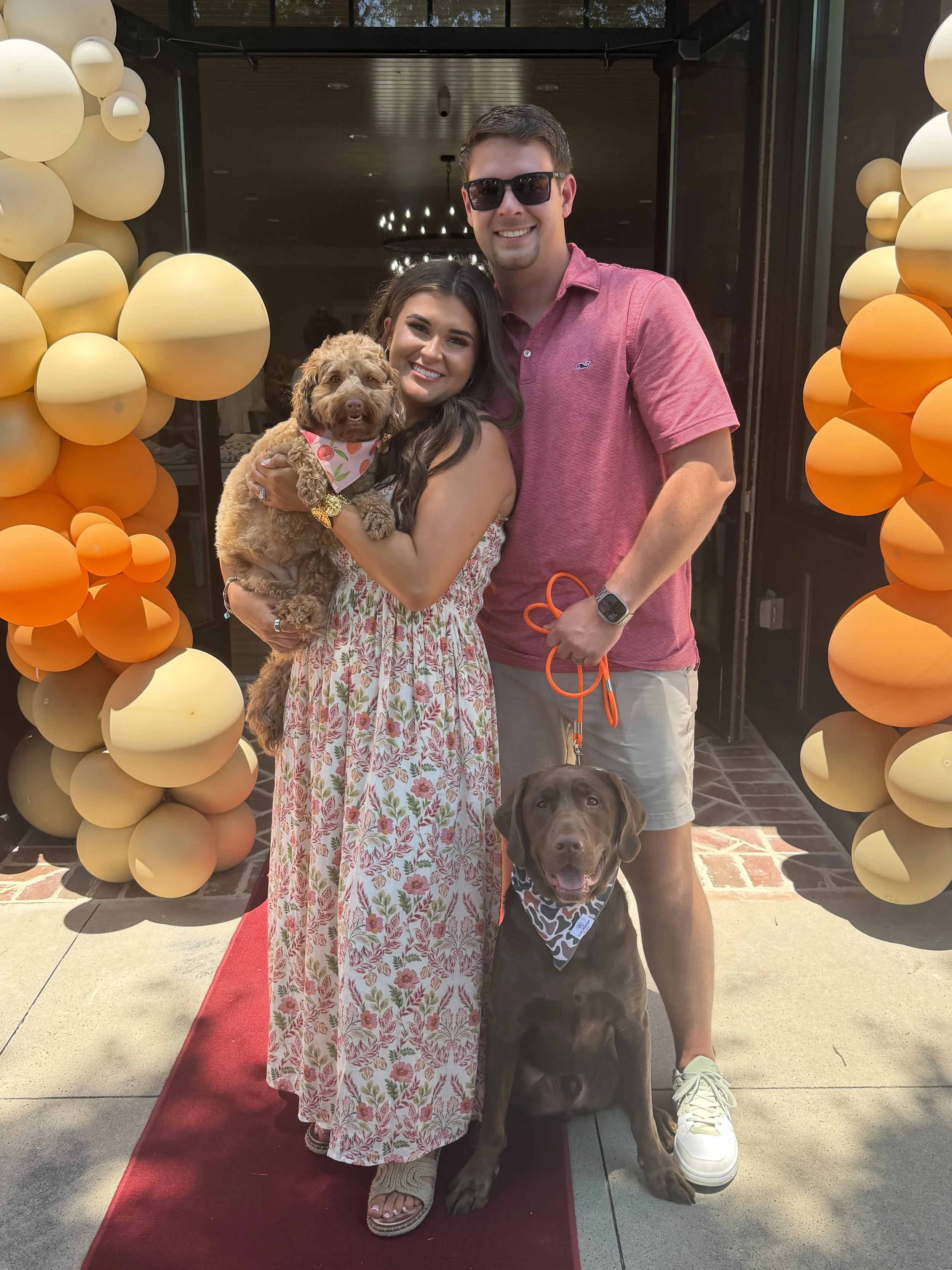 A smiling woman holding a small curly-haired dog with a bandana, standing next to a man with sunglasses and a watch, who is holding a leash of a large brown Labrador Retriever. They are posing in front of a decorative arch made of golden balloons and standing on a red carpet outside a building.