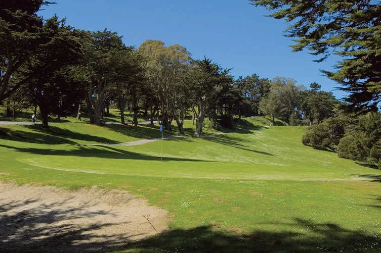 A golf course with a putting green, flagstick, and surrounding trees under a clear blue sky.