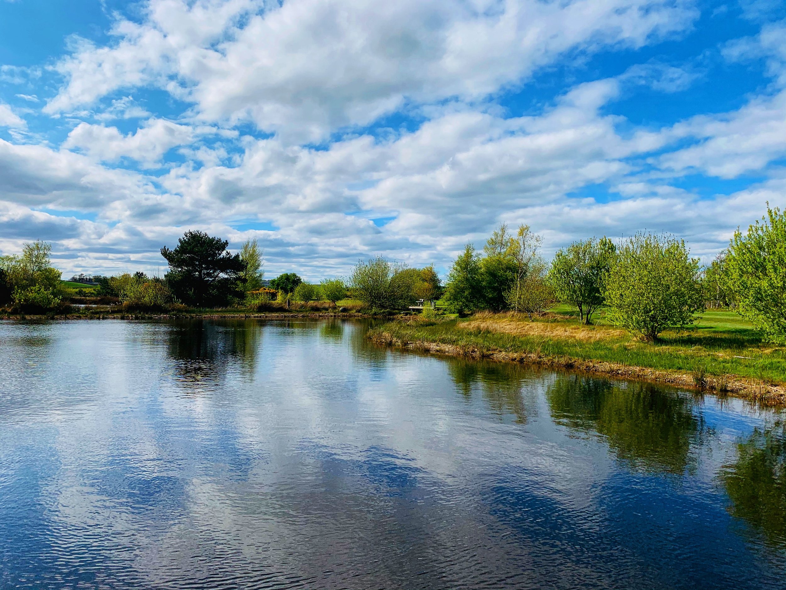 A serene scene of a body of water reflecting a blue sky with fluffy white clouds. The opposite bank is lined with lush green trees and grass, creating a peaceful landscape.