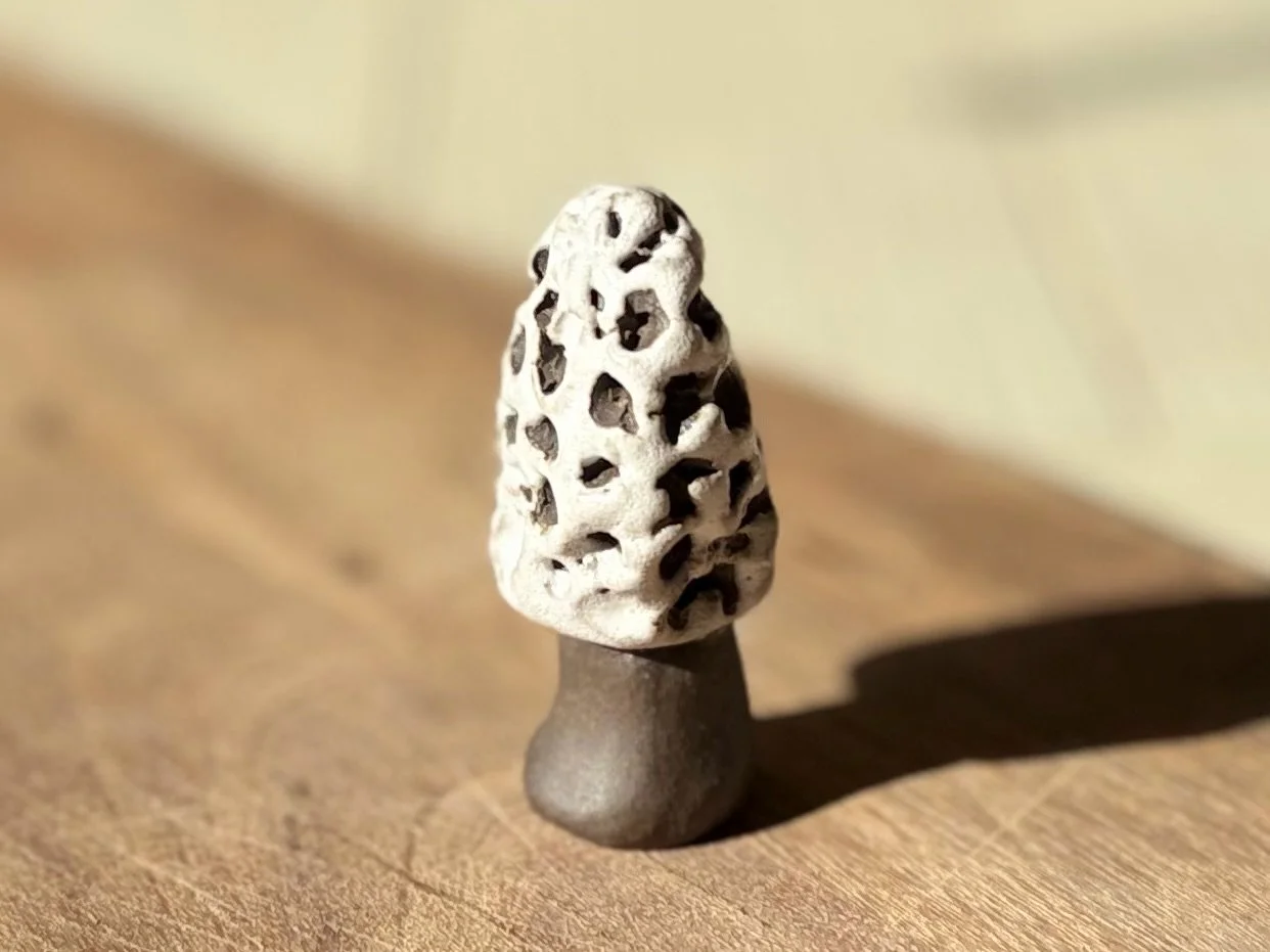 Morel Keepsake