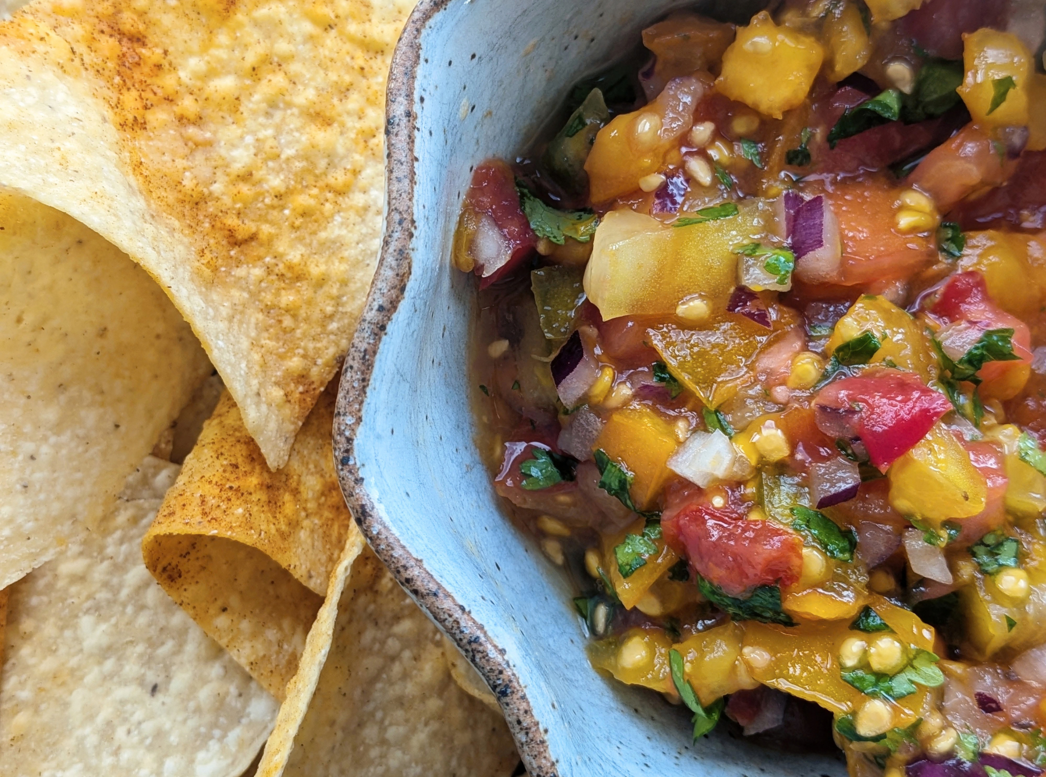 Garden tomato salsa