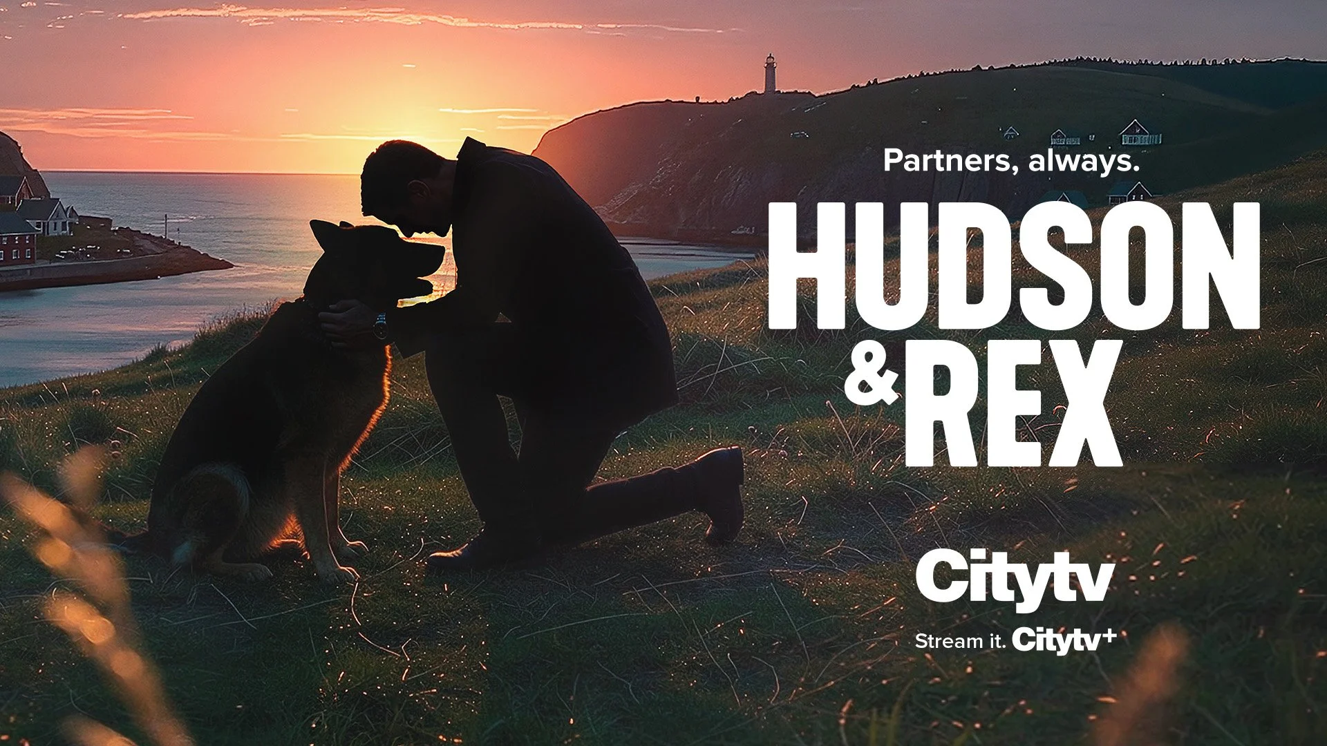 Hudson &amp; Rex Season 9 premieres on Citytv: time, returning cast and where to watch
