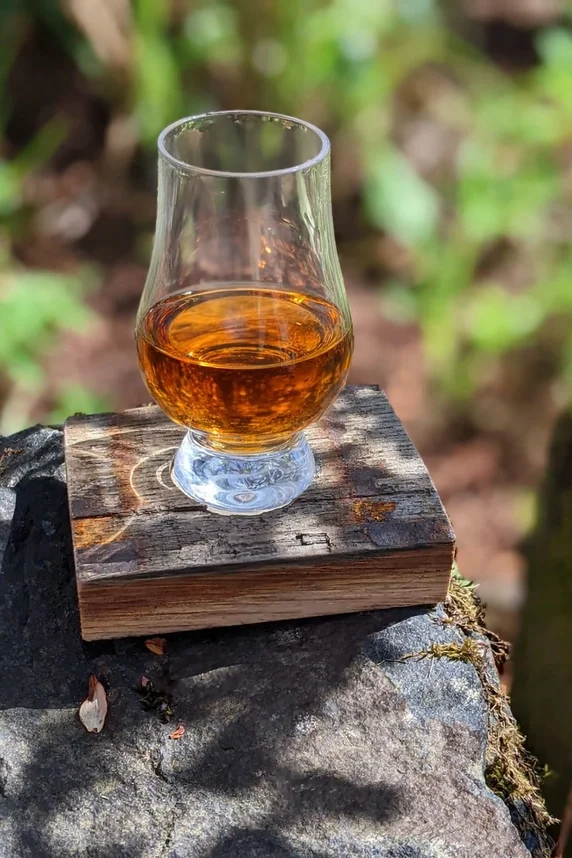 WHISKEY STAVE COASTER & GLASS SET