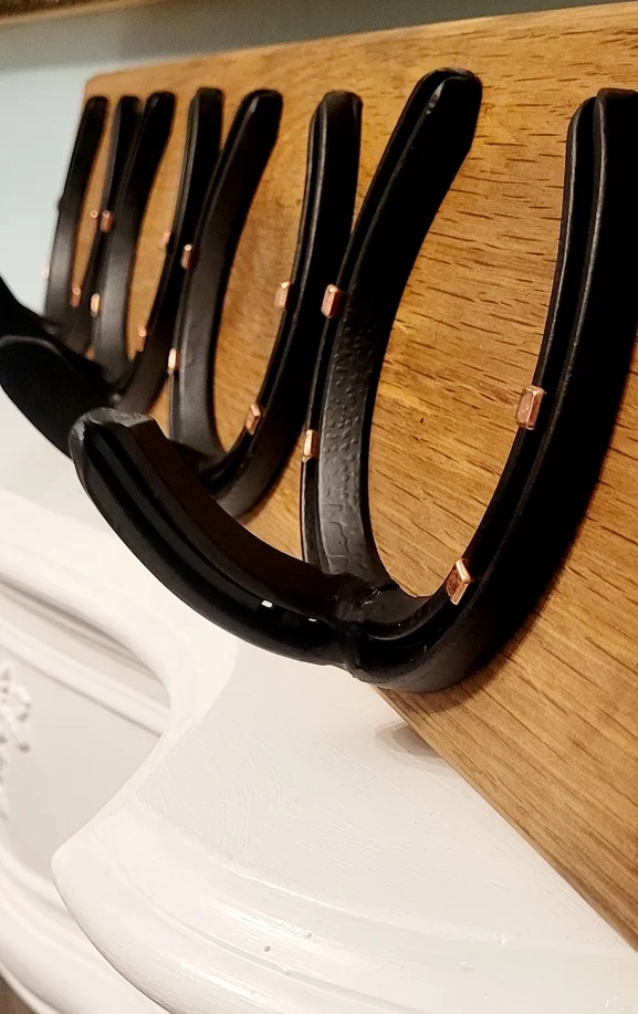 HORSESHOE COAT HOOKS b.webp