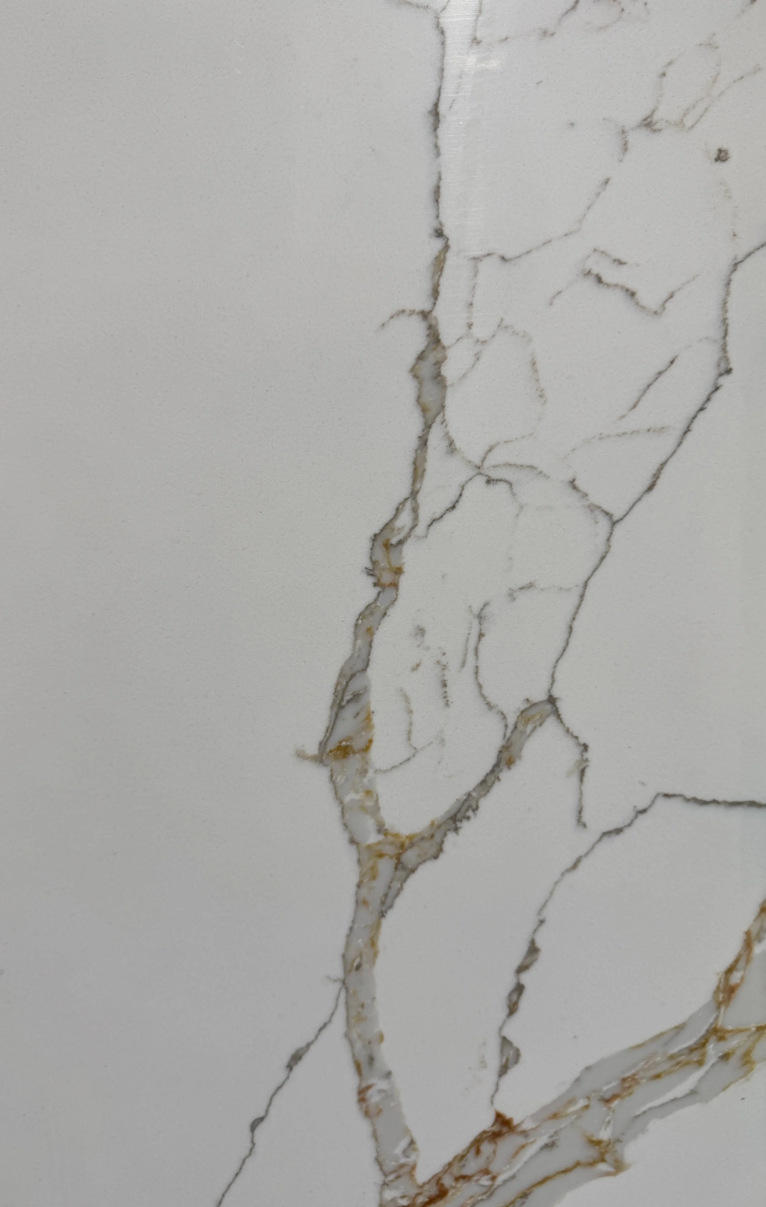 Calacatta Venezia Gold 