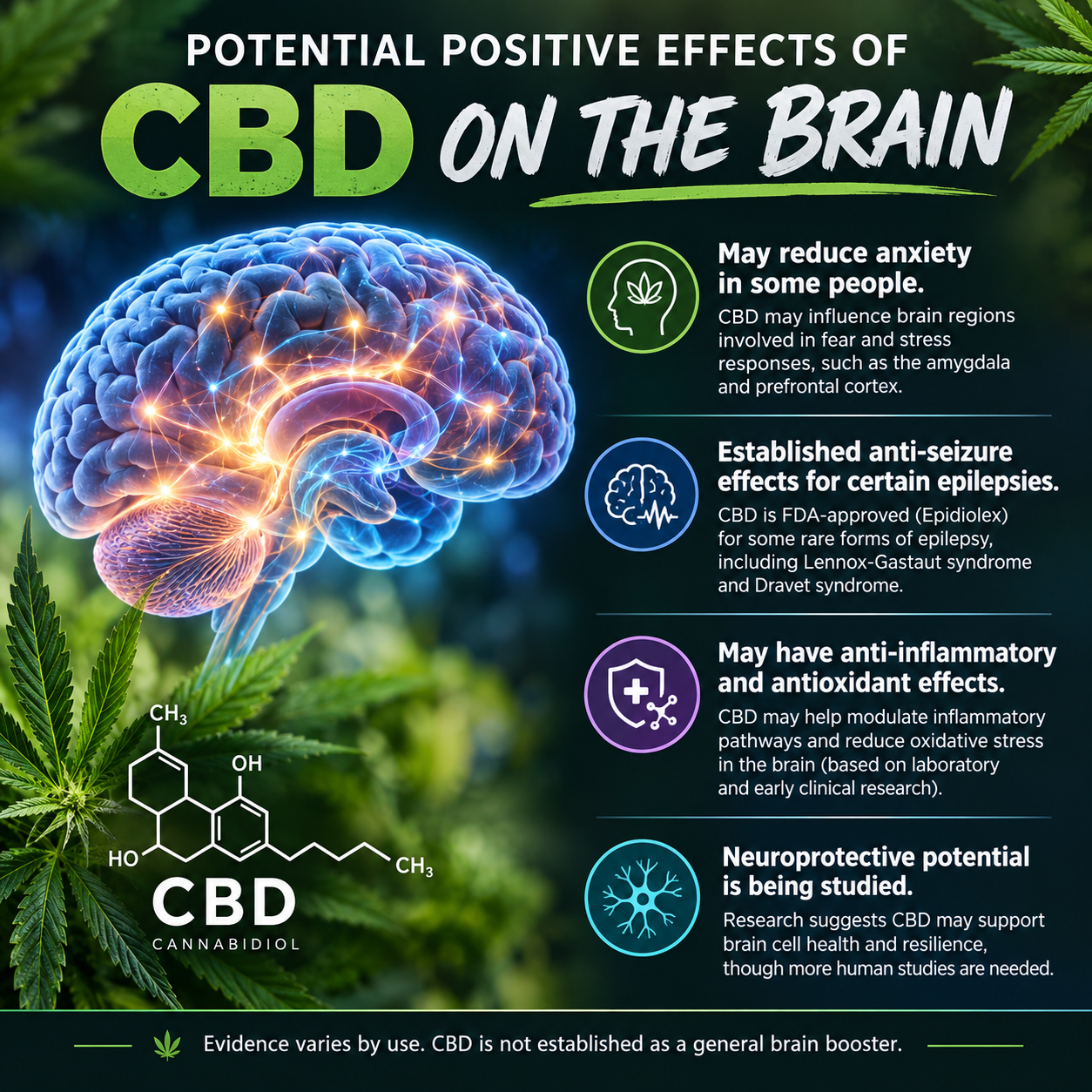 What Are The Positive Effects Of Cannabinoids On The Brain?