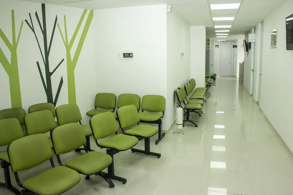 Sala de espera con sillas verdes y pared decorada con árboles estilizados en tonos verdes y negro.