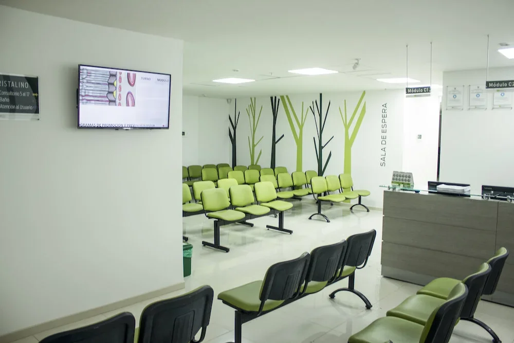 Sala de espera en una clínica con sillas verdes y pared decorada con árboles verdes y negros.