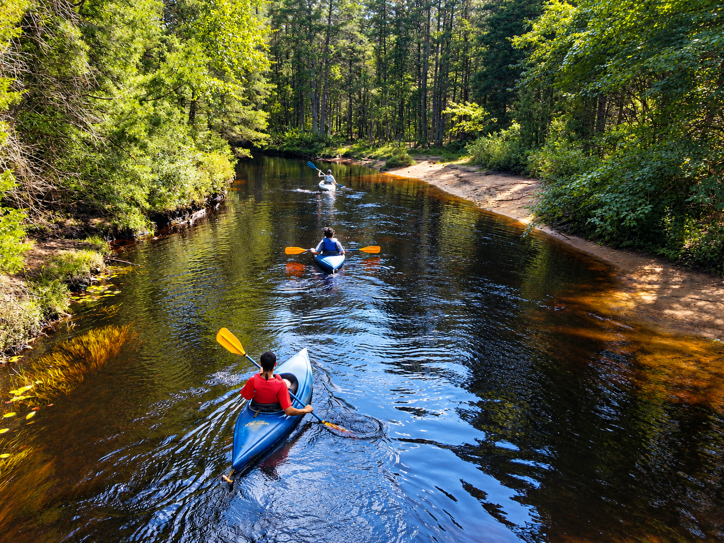CANOE LEAP Down River ICS.png