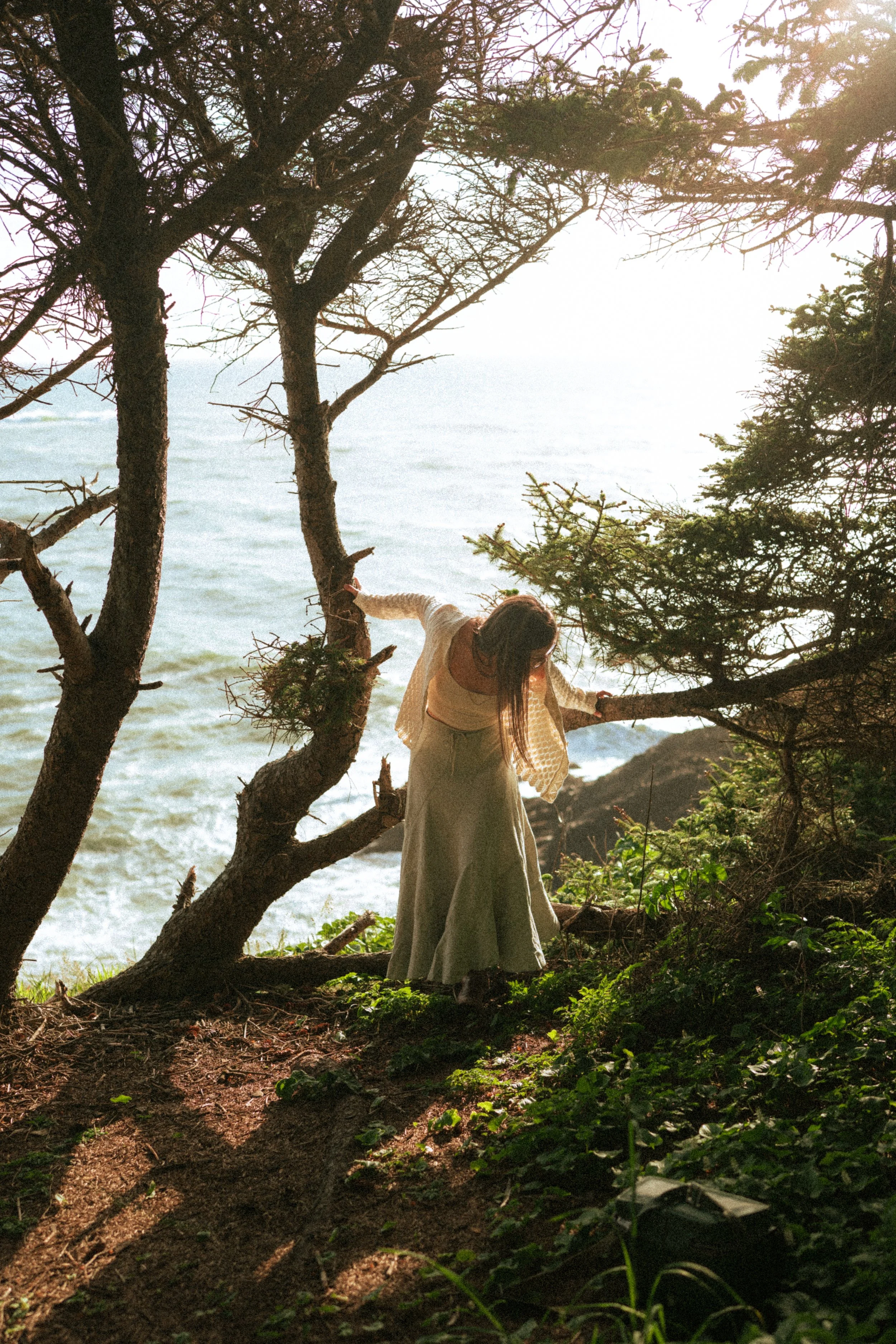 A woman in a long dress and a light-colored sweater or shawl standing outdoors among trees near the ocean. She is looking down and holding a branch of a tree, with sunlight filtering through the branches. The scene appears to be taken during late afternoon or early evening.