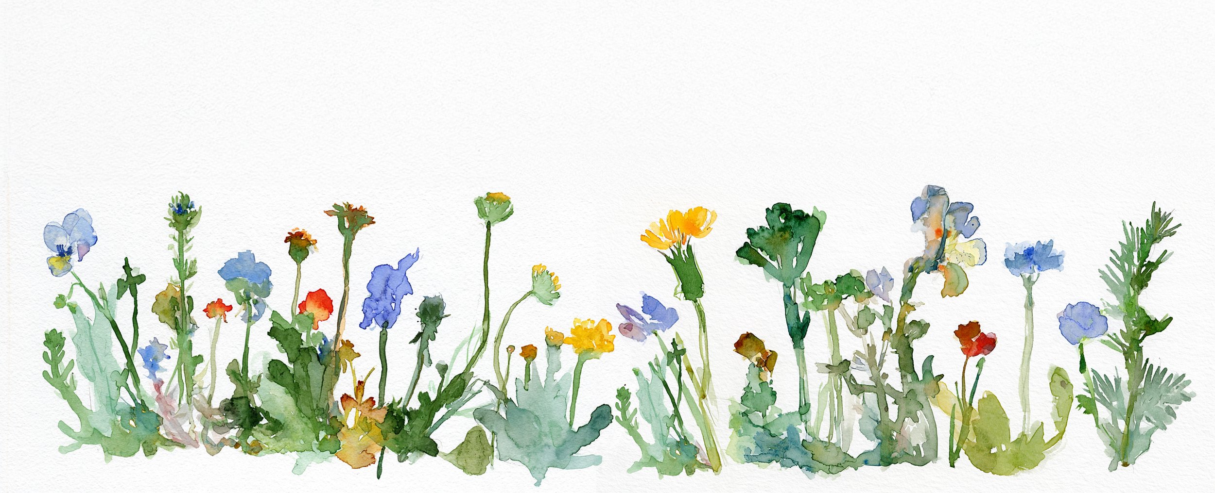 Watercolor painting of colorful wildflowers and green foliage along the bottom edge of the image.