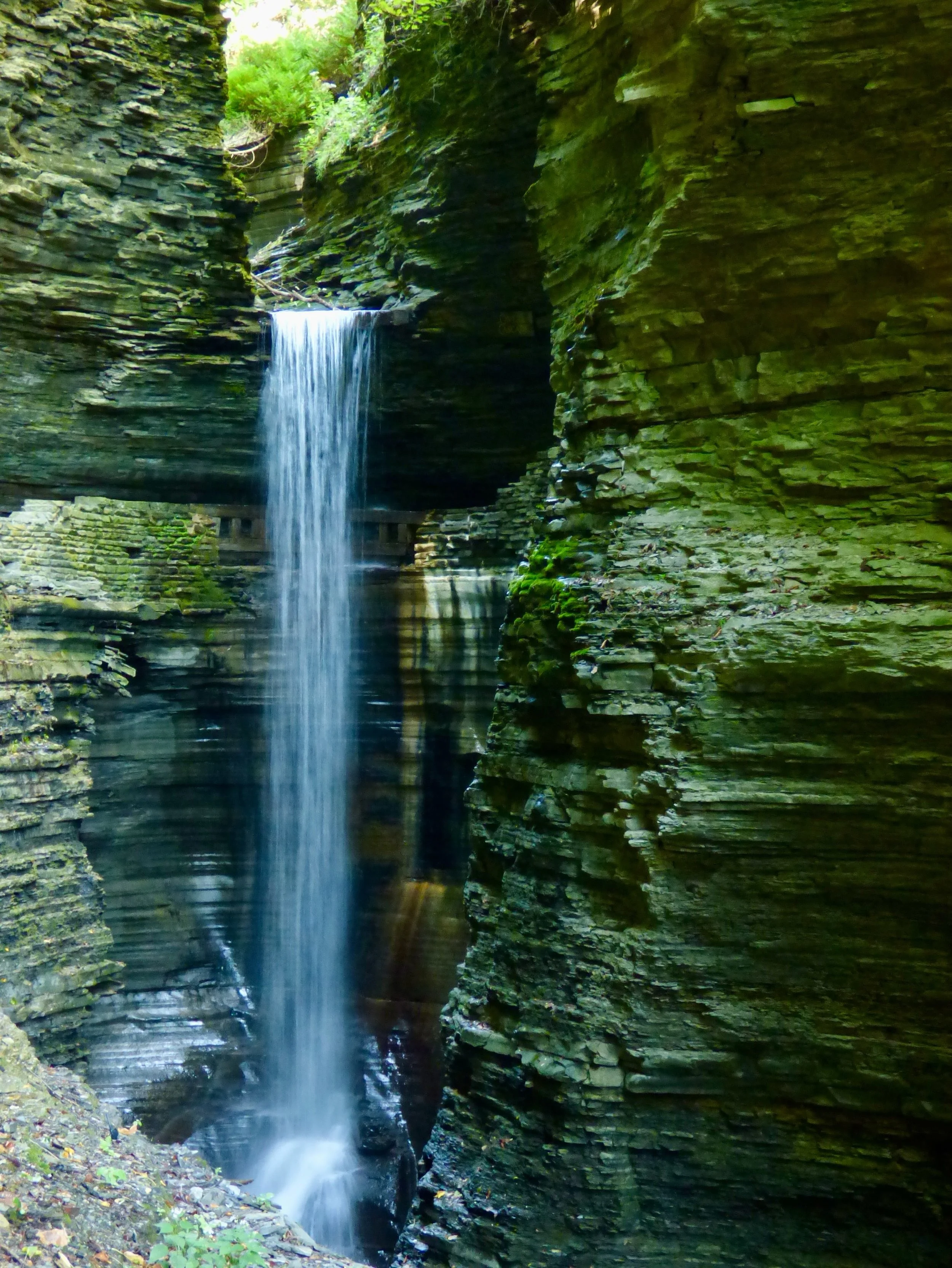 A small waterfall cascading down layered rock formations within a forested canyon with lush green foliage.