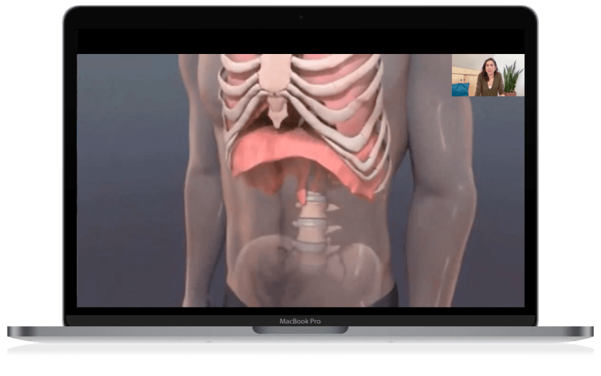 A digital illustration of the human torso highlighting the rib cage, diaphragm, and stomach, with a video call window showing a woman in the top right corner.