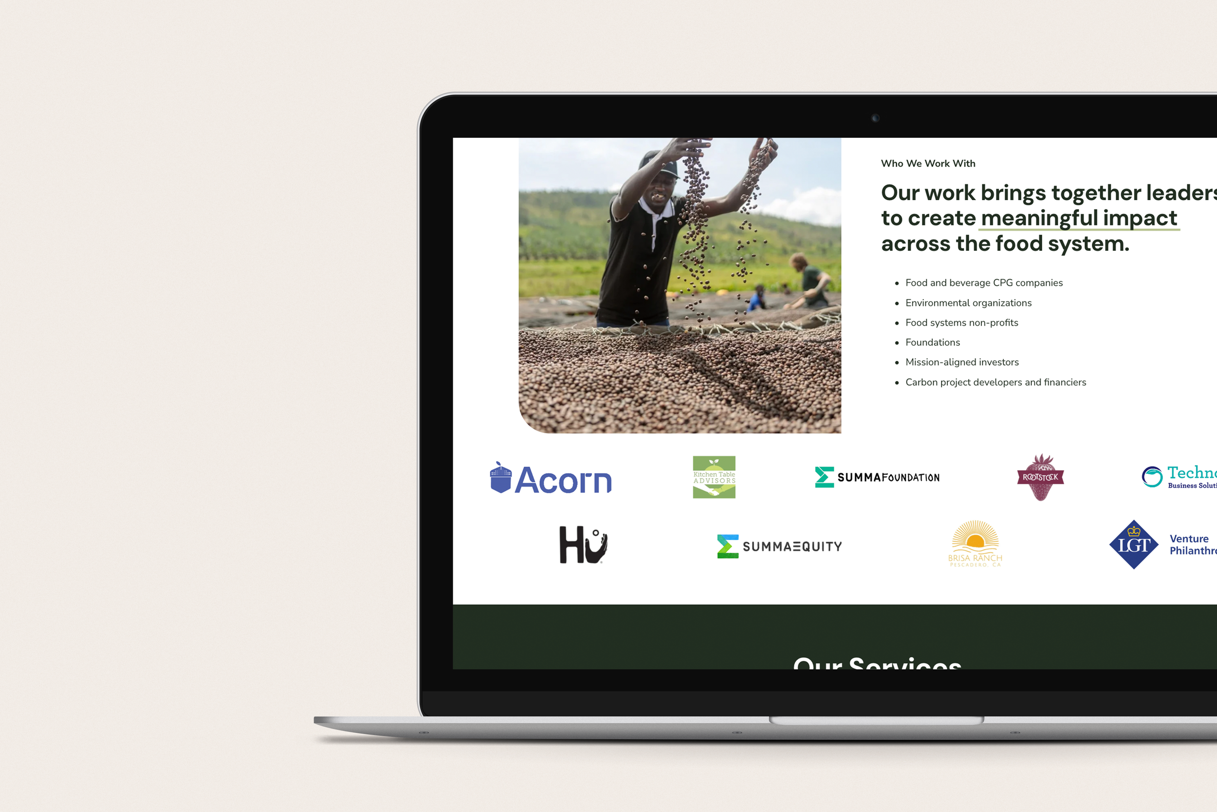 Abundant-Field_Pages-2.png