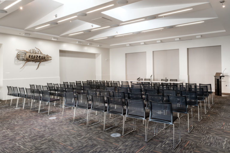 Empty conference room with rows of black chairs, a podium in the corner, and decorative wall art of a fish.