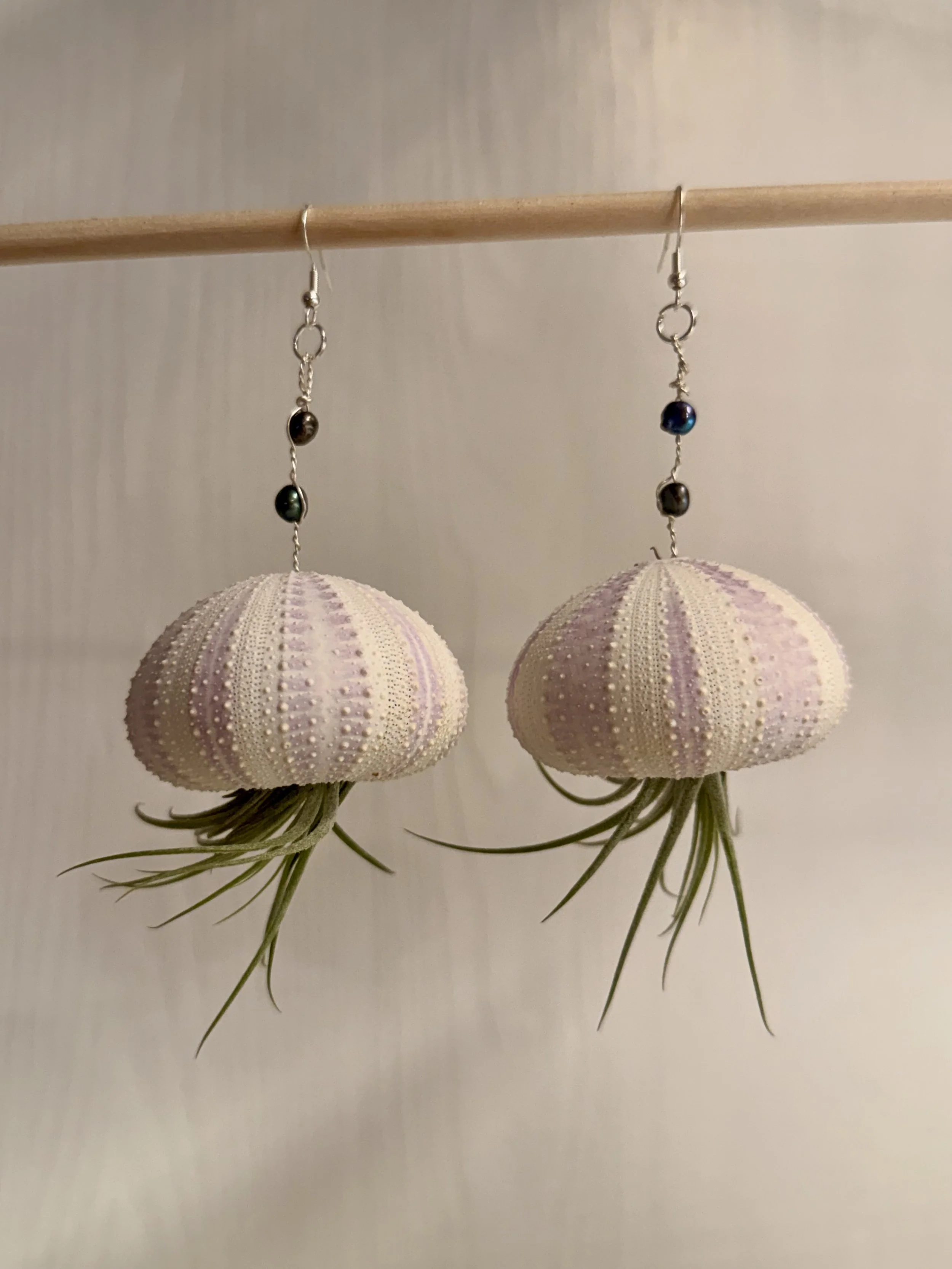 Tillandsia Air Plant Earrings (A)