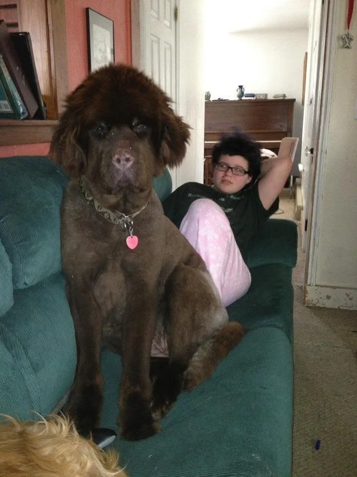 A young person with black curly hair and glasses sitting on a green couch with one arm behind their head, wearing a black t-shirt and pink pajama pants. A large brown dog with a fluffy face and wearing a collar with a pink tag sits on the armrest of the couch in front of the person.