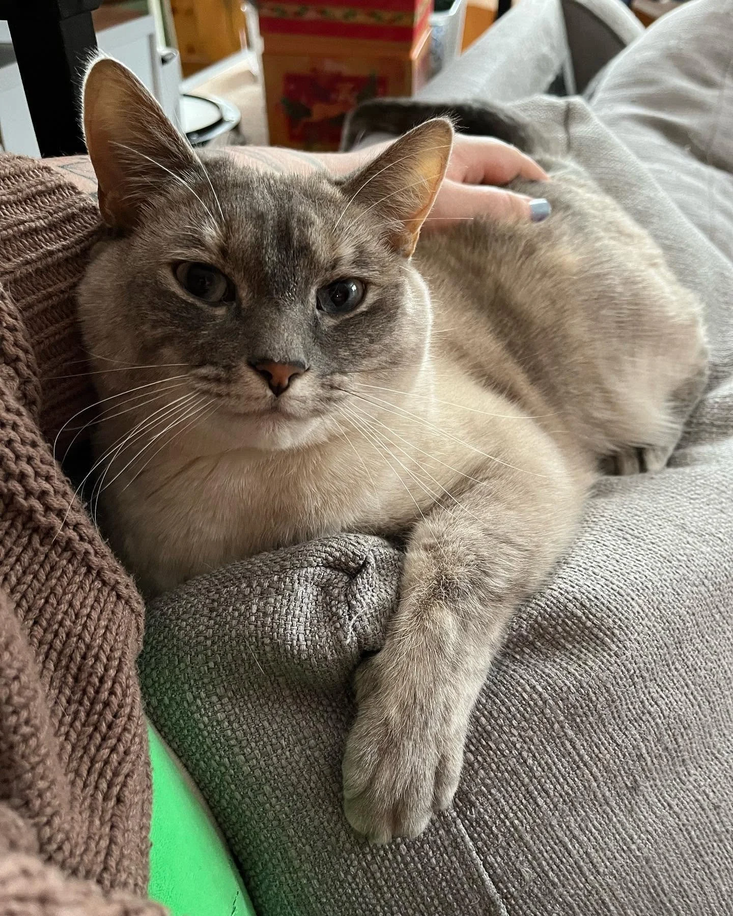 George
