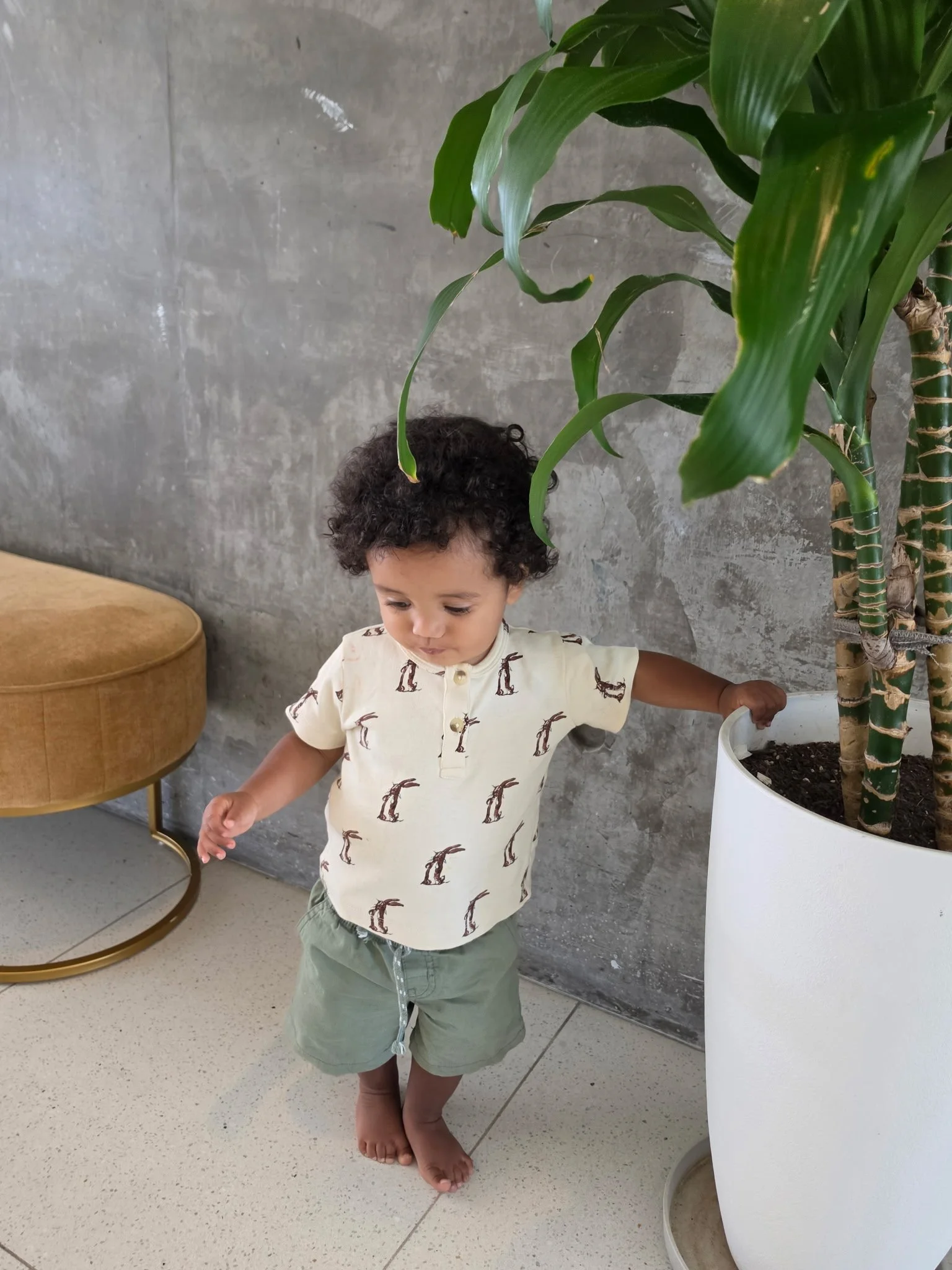 A young child with curly hair wearing a cream-colored shirt with a penguin pattern, light green shorts, and barefoot, standing indoors beside a large potted bamboo plant against a concrete wall.
