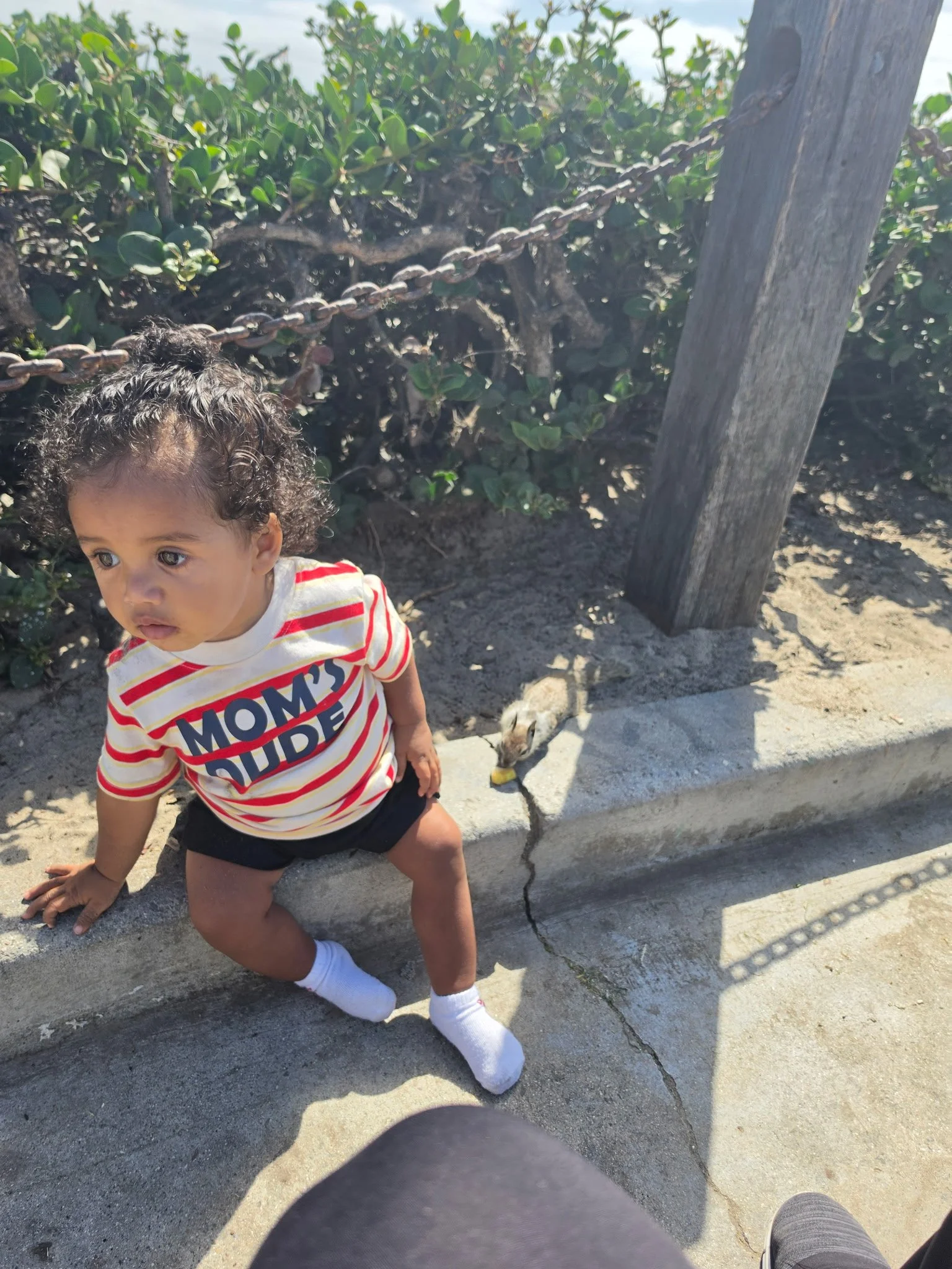 A young child with curly hair and light brown skin, wearing a striped white, red, and blue shirt that says 'Mom's Dude', black shorts, white socks, and gray shoes, crouching on a sidewalk next to a chain-link fence with green bushes behind it. There 