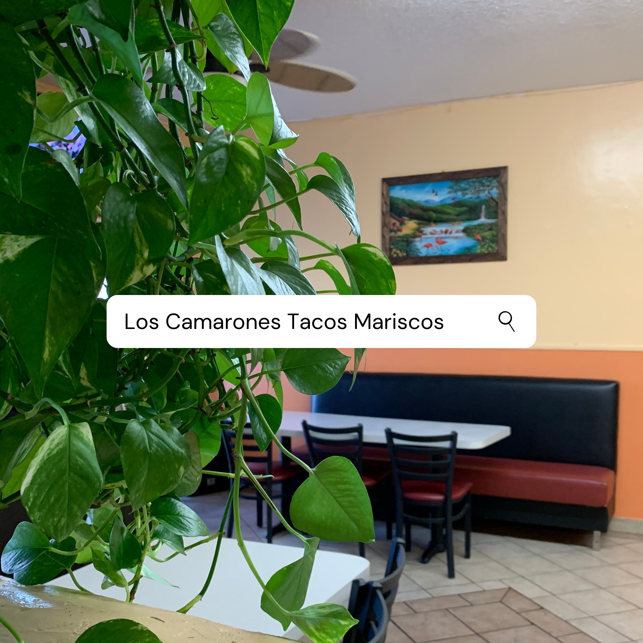 Green leafy plant in foreground with a restaurant interior in the background, including black chairs and a colorful landscape painting on a beige wall.