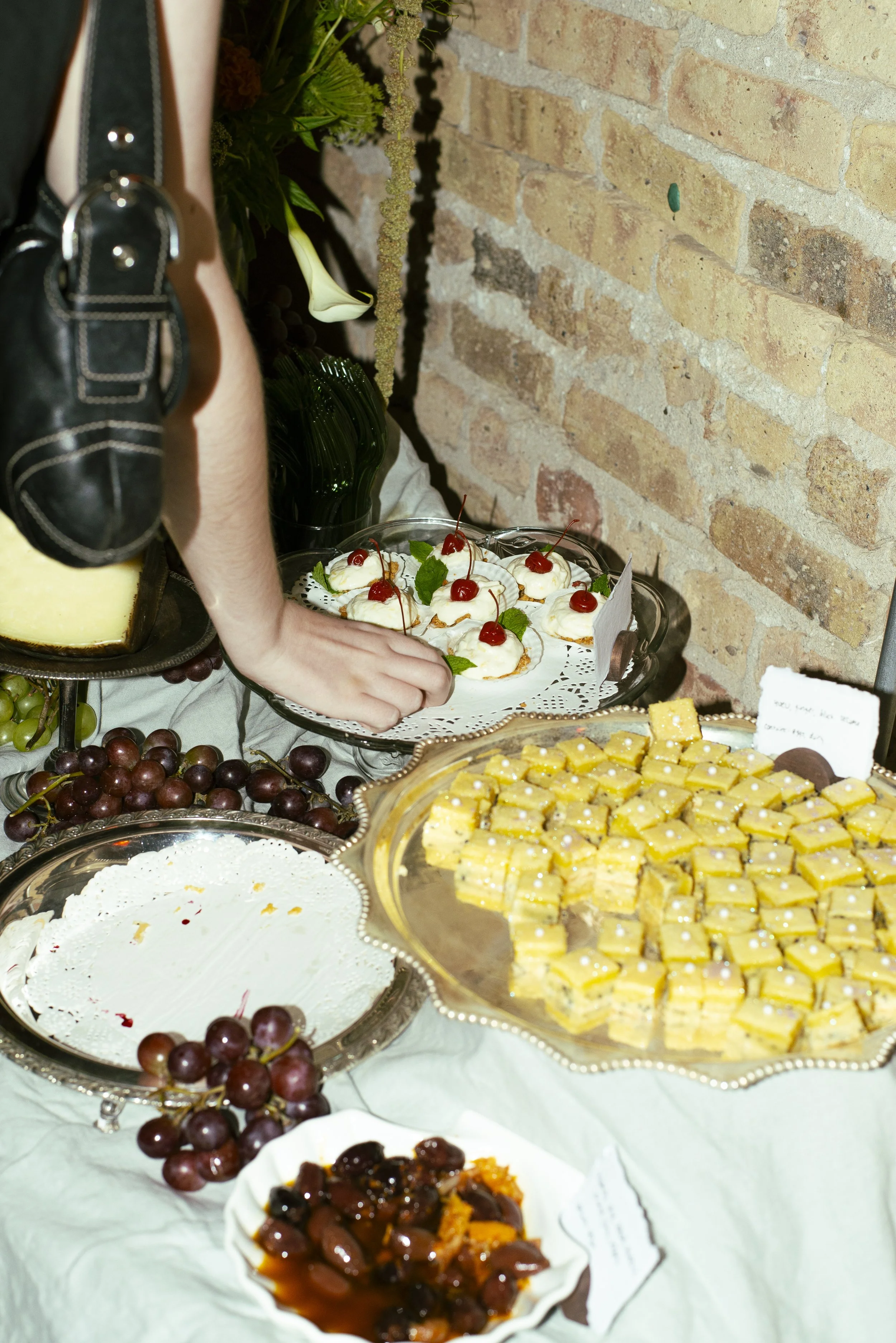 GorgPlates_0022.jpg
