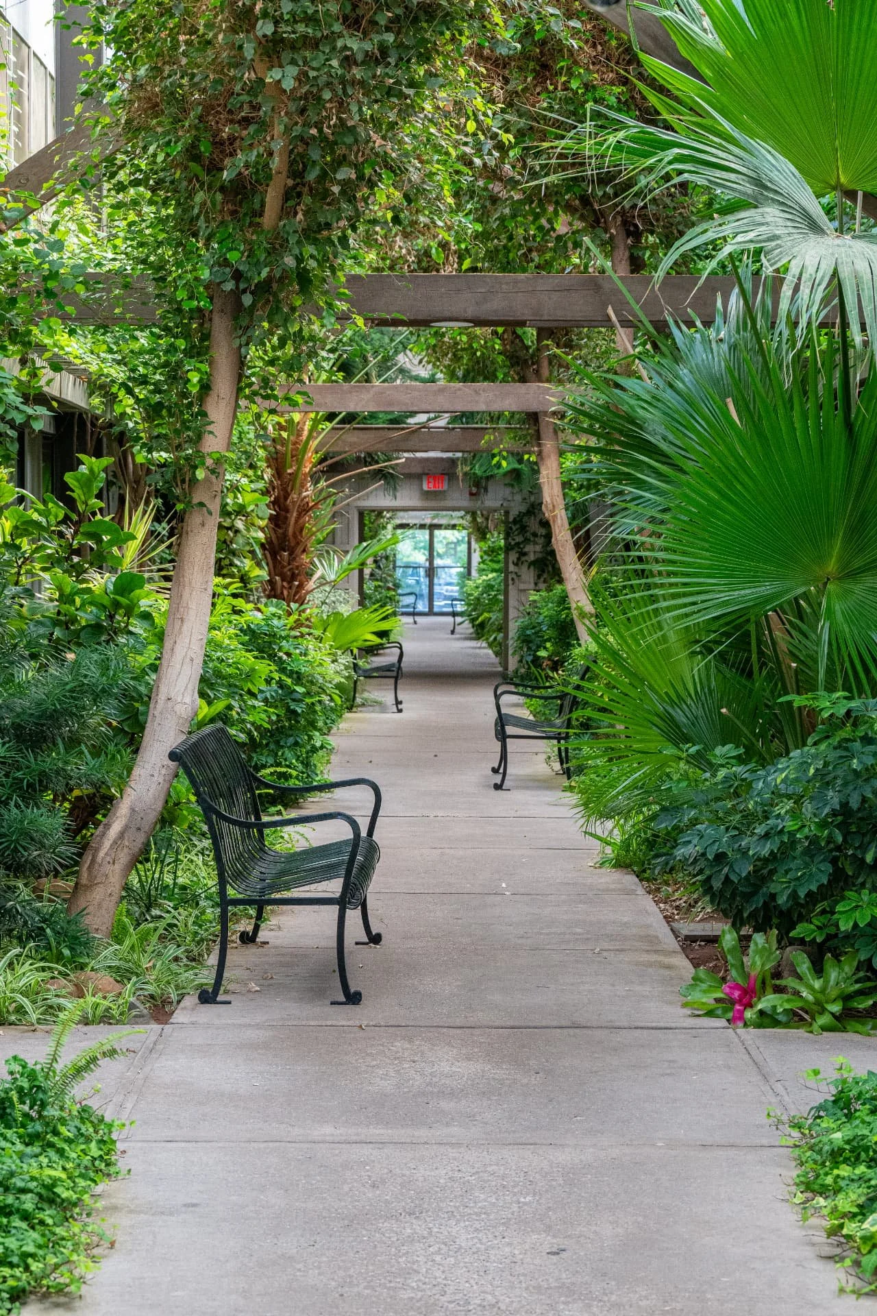 Planted courtyard walkway