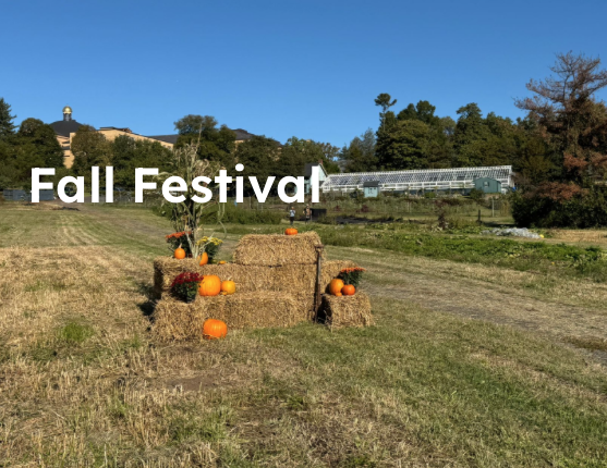 FMGG: FRANCISCAN MONASTERY FALL FESTIVAL!