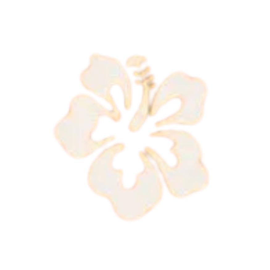 Jamu Hibiscus Flower