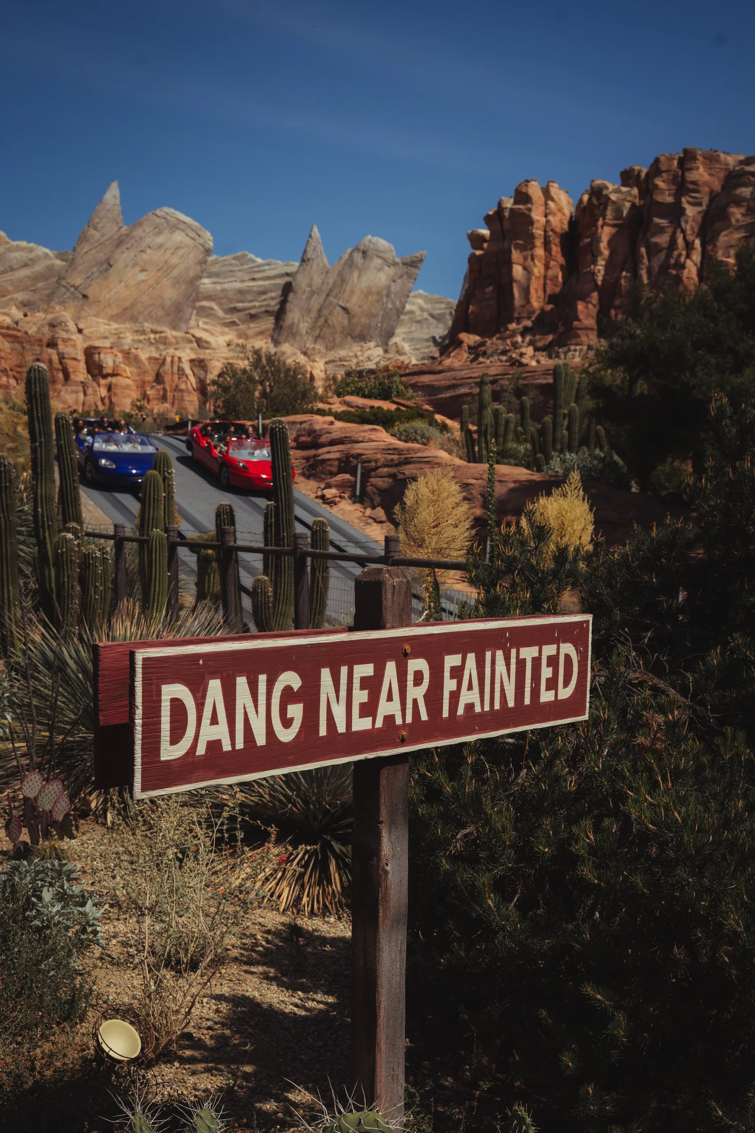 A red and white sign that reads 'DANGEROUS NEAR FAINTED' in front of desert plants and cacti with a rocky landscape and blue sky in the background.