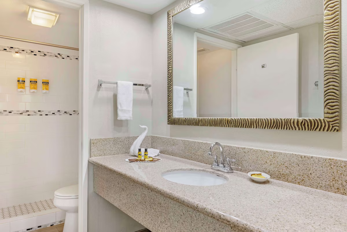 Bathroom with a large mirror, sink, toiletries, and a walk-in shower in the background.