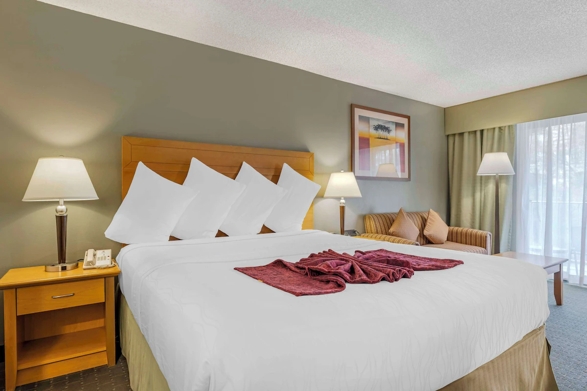 Hotel room with a large bed, four pillows, two bedside lamps, a small bedside table, a picture on the wall, a sitting area with a sofa and pillows, and a large window with curtains.