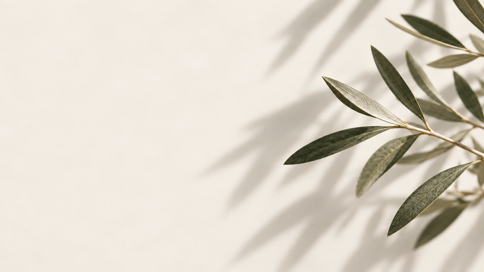 Close-up of green leaves with shadows on a light background.