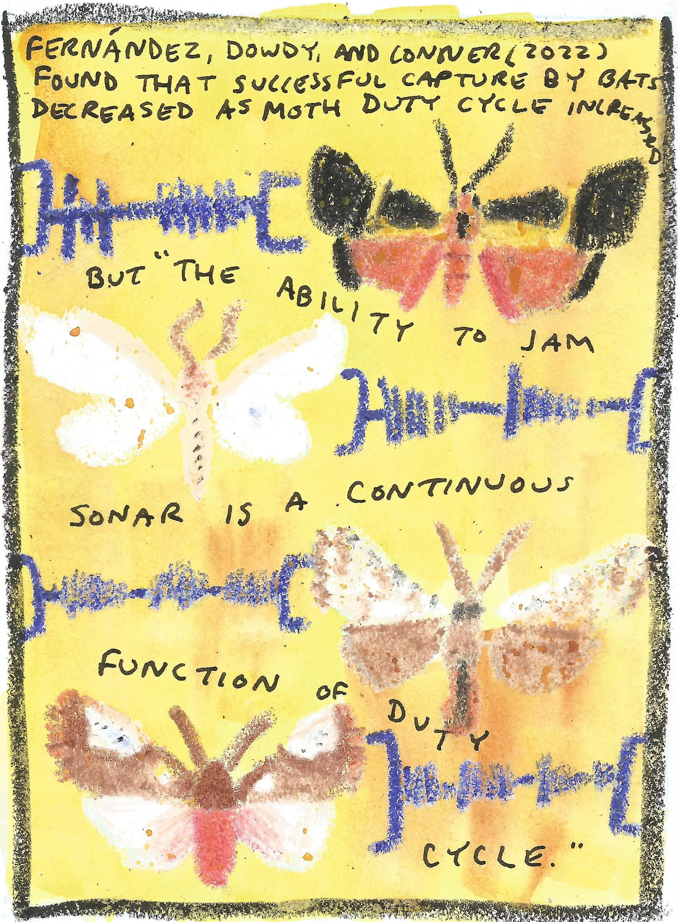 moth30004.jpg