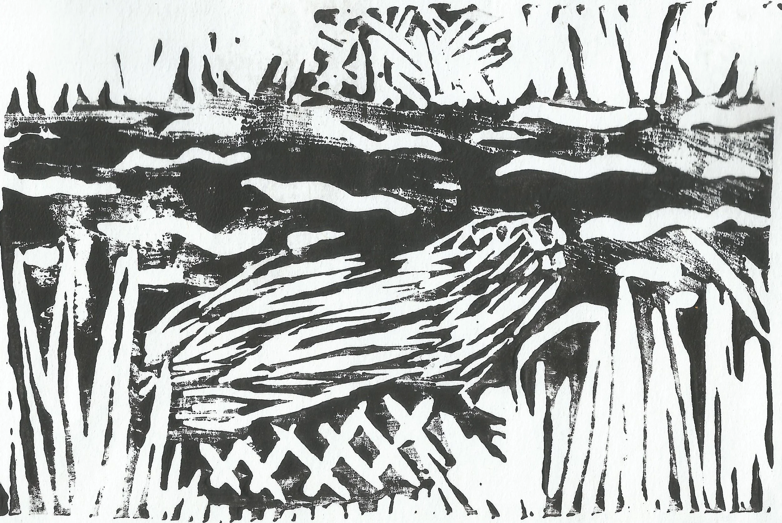bird30001.jpg