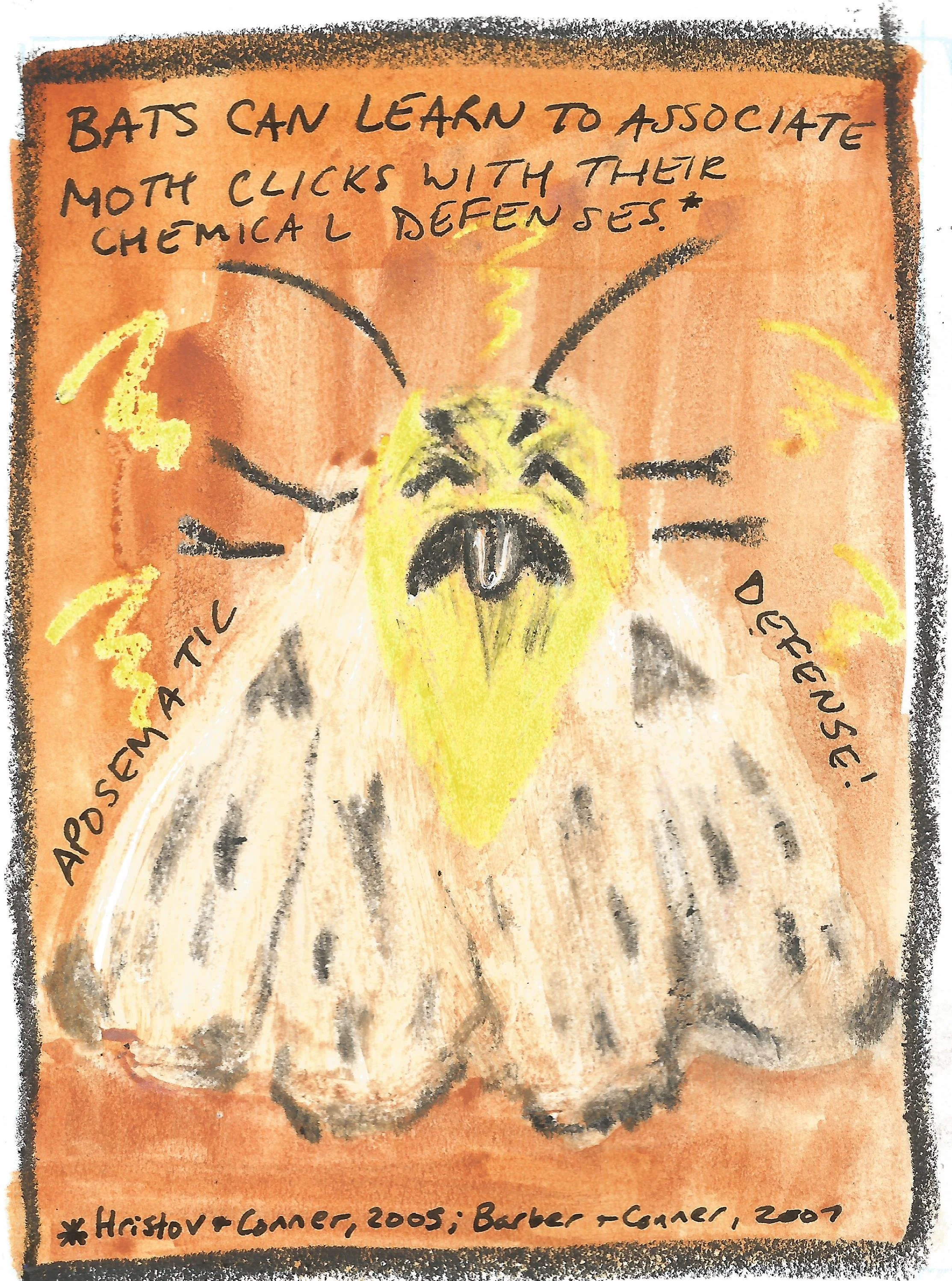 moth20002.jpg