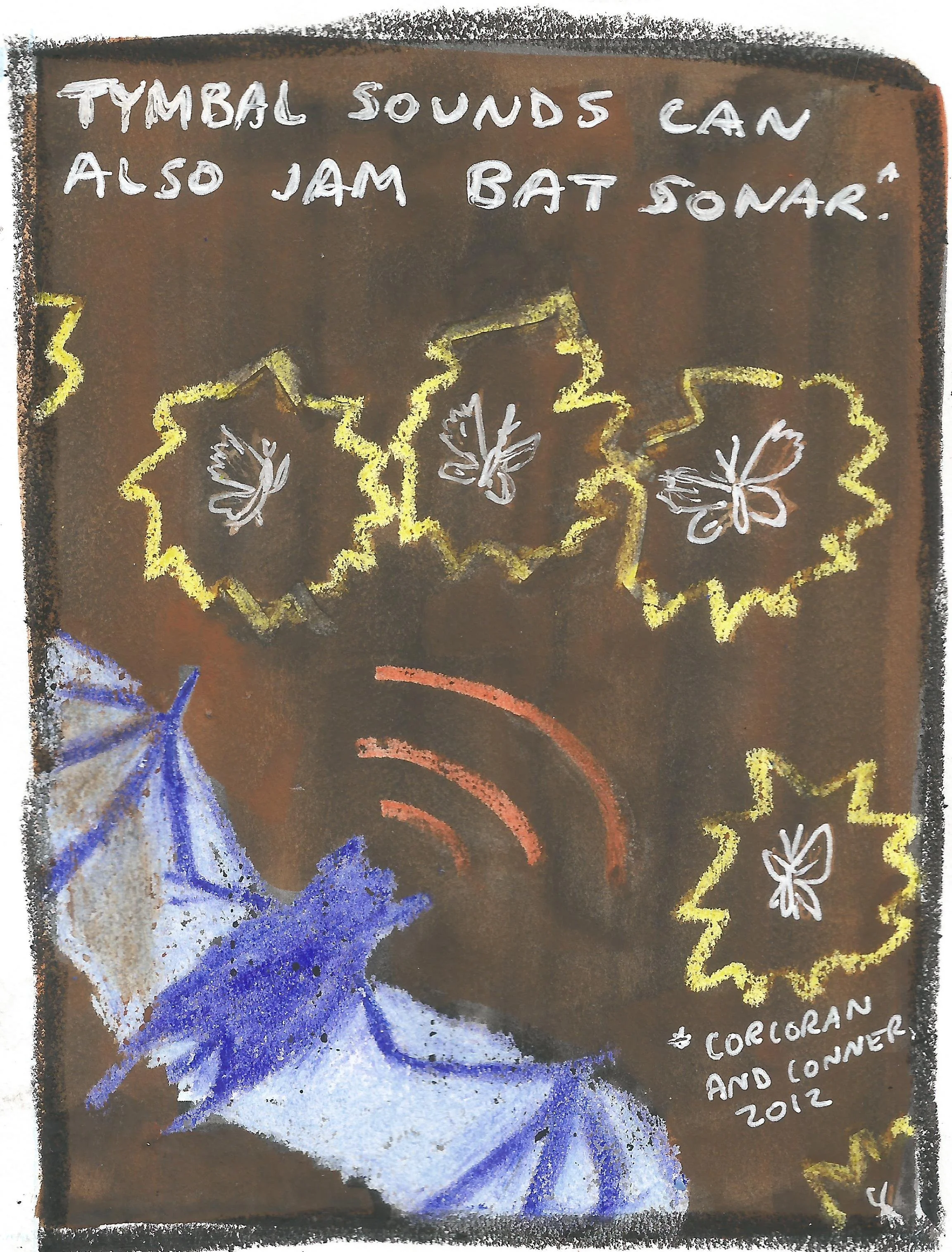 moth20001.jpg