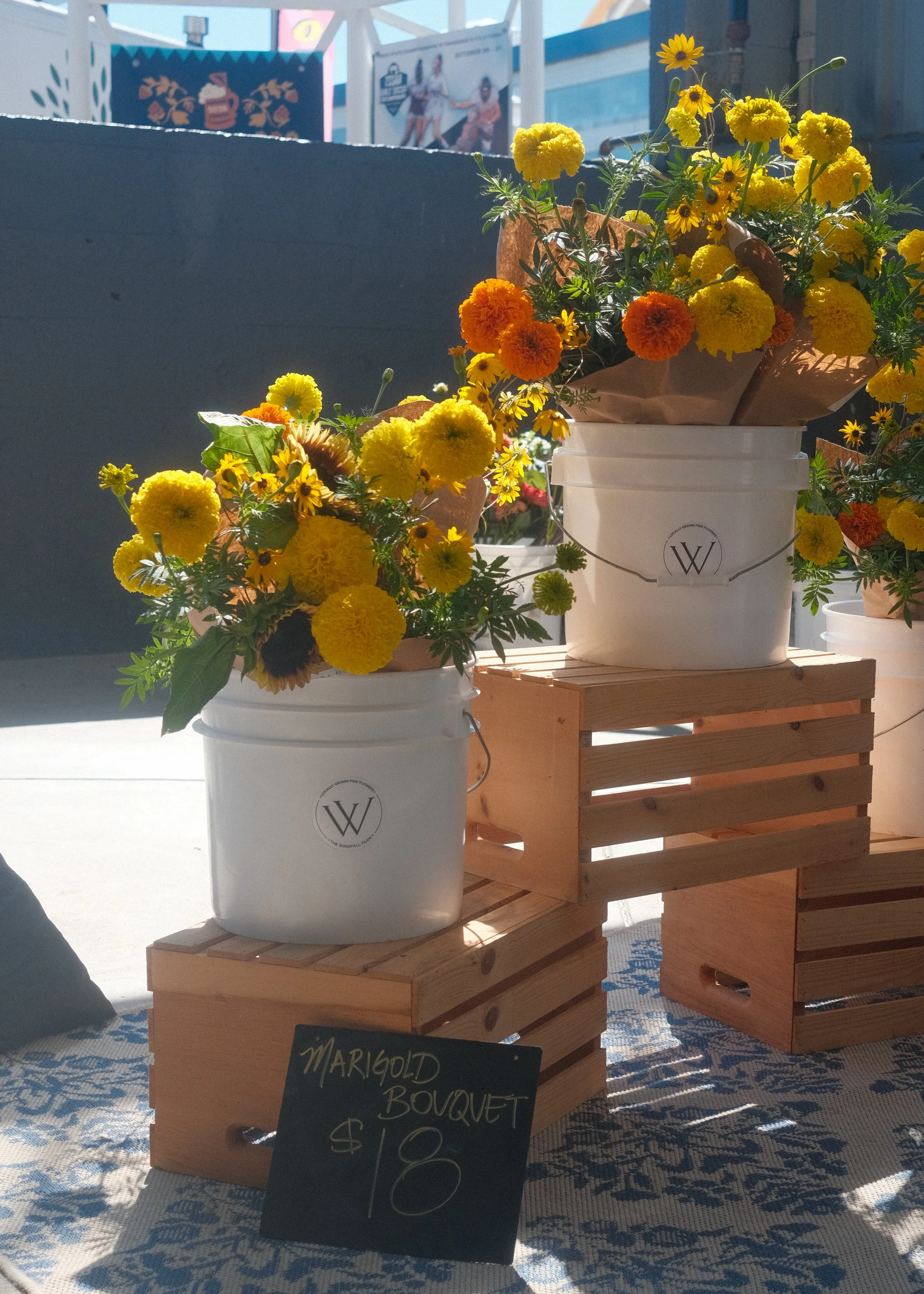 marigold.jpg