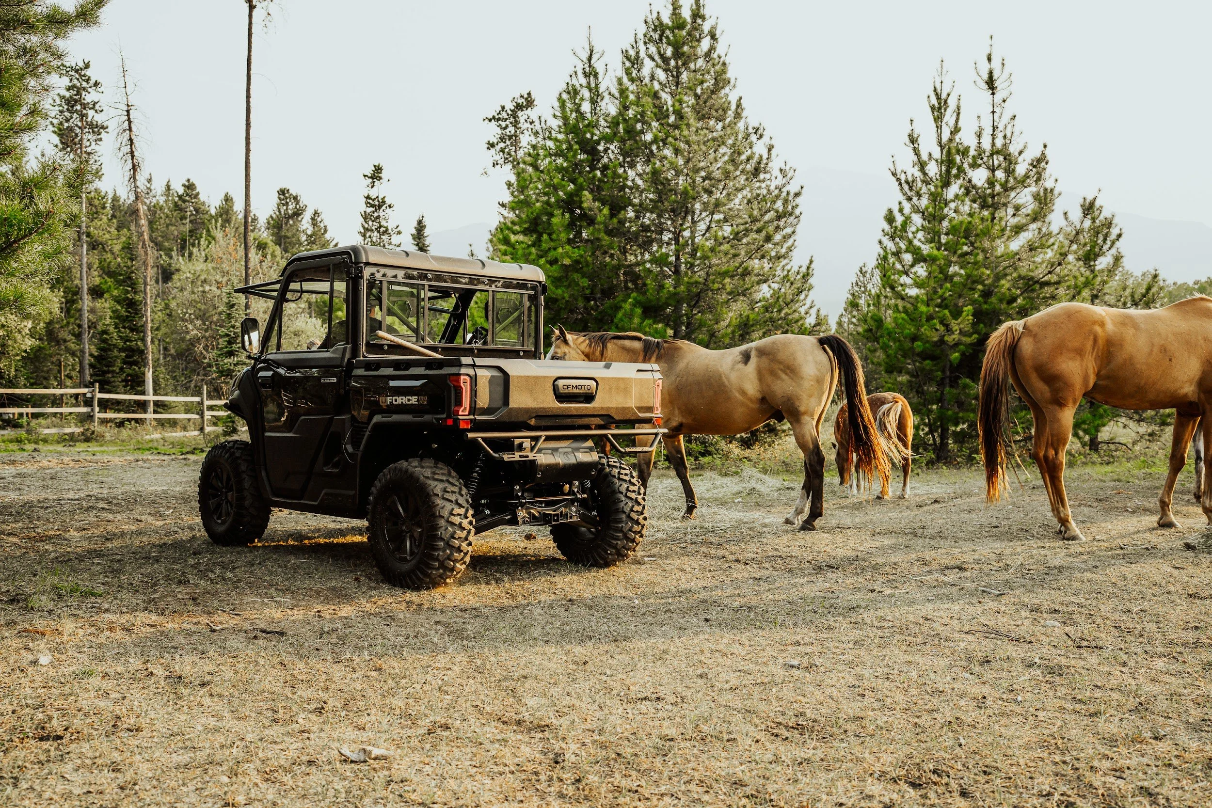 A CFMOTO UFORCE parked in the paddock while two horses walk past.