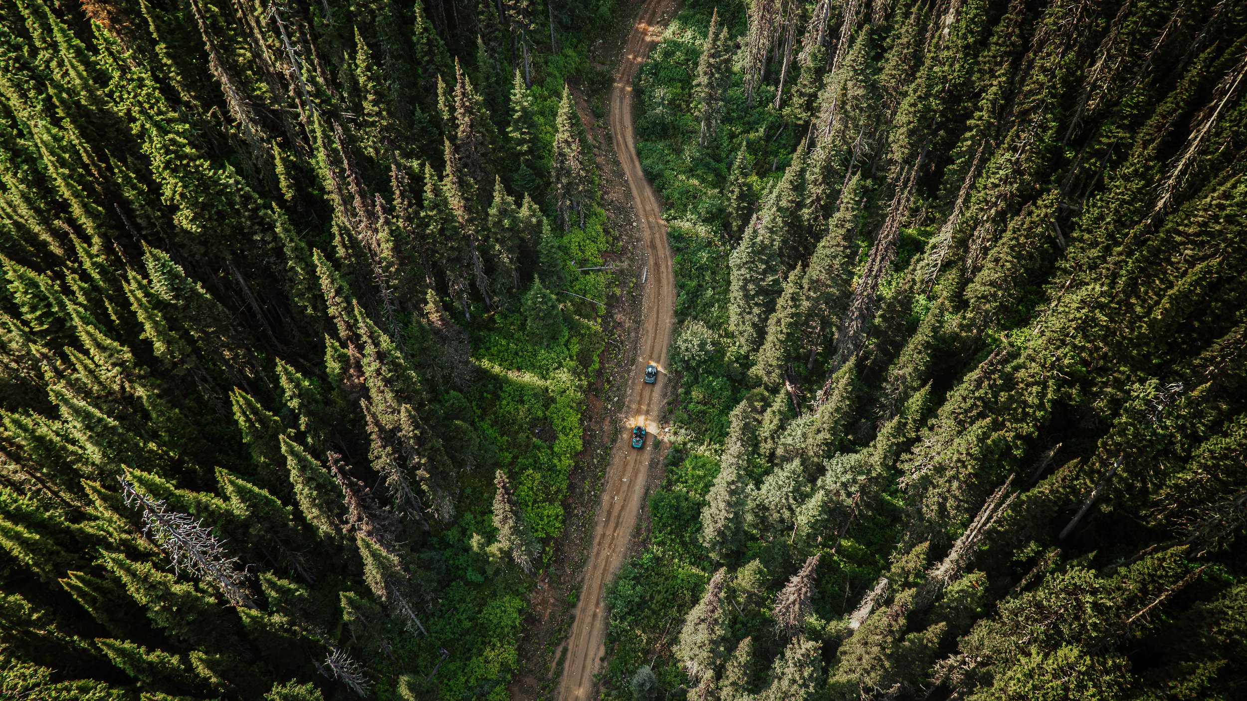 Drone view of two machines on the forest road, Valemount, BC