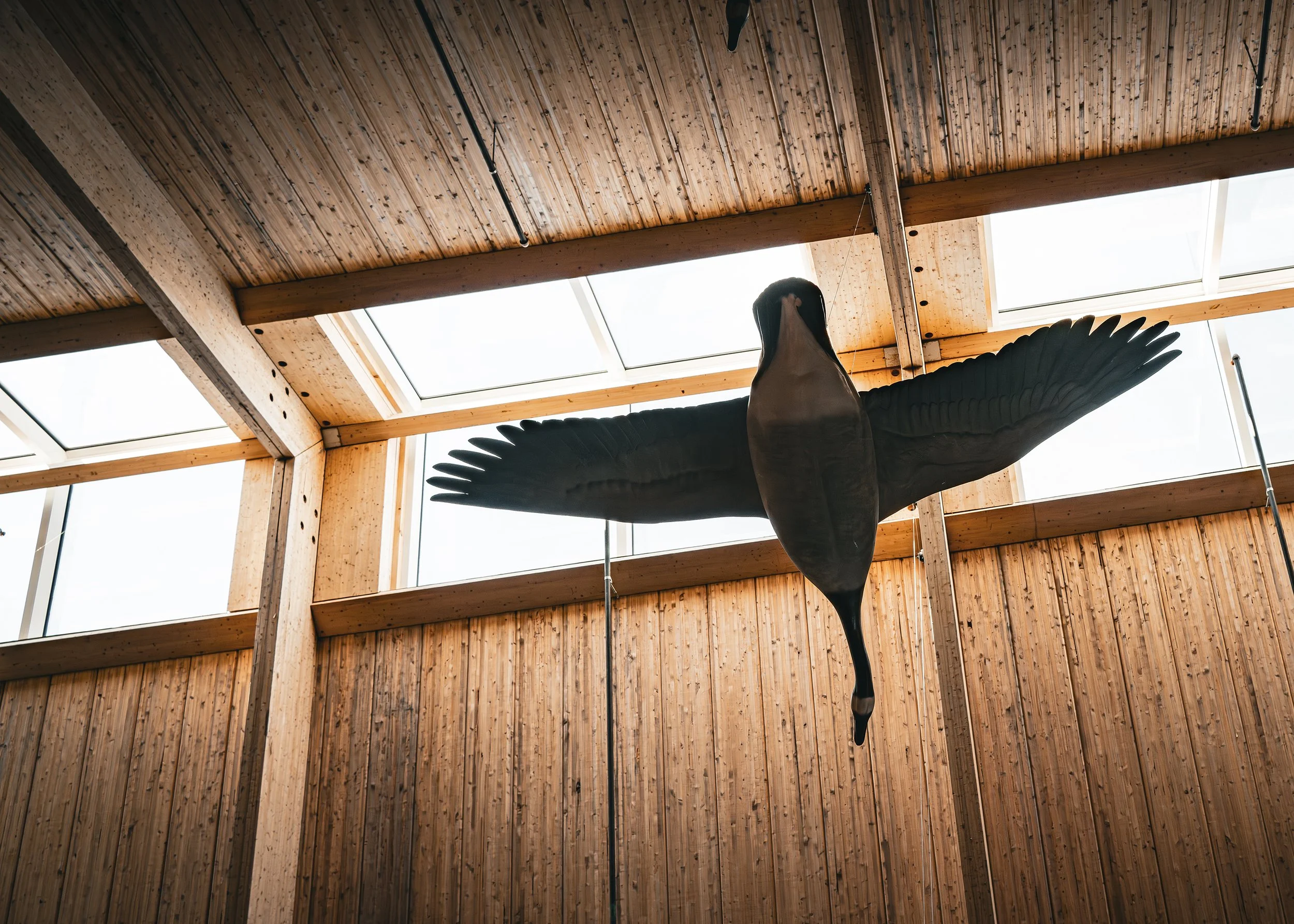 Carved goose hanging from the timber ceiling of a camp building