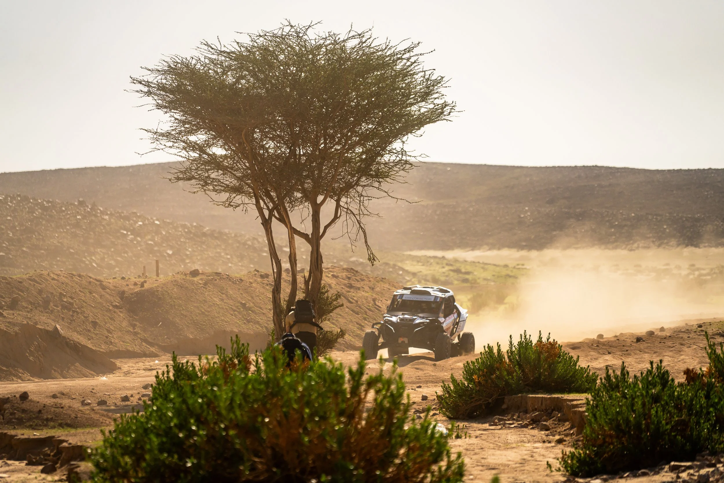 Can-Am side-by-side raising dust past an acacia tree during the shakedown