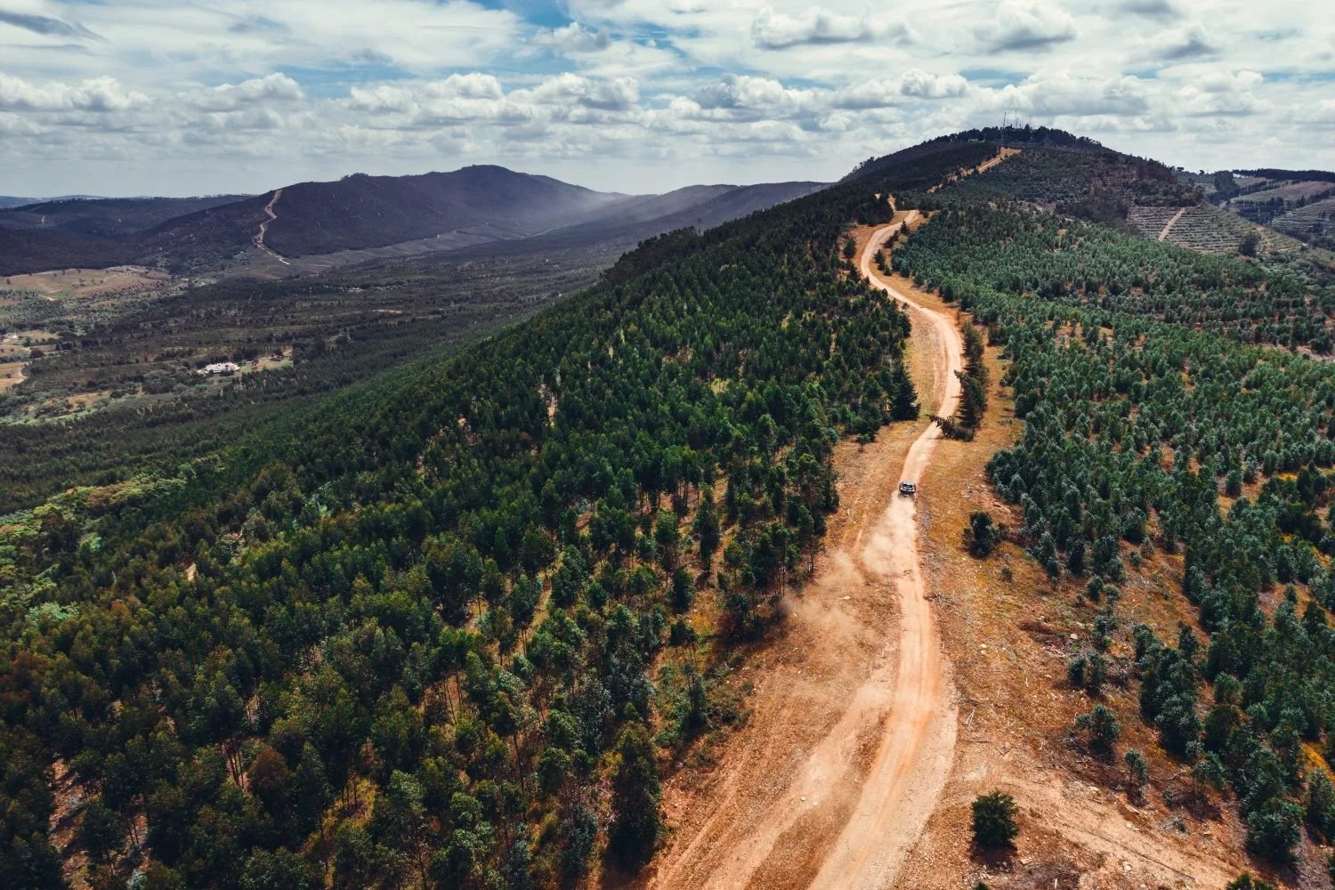 A dirt track climbing a ridge between planted hillsides, seen from above