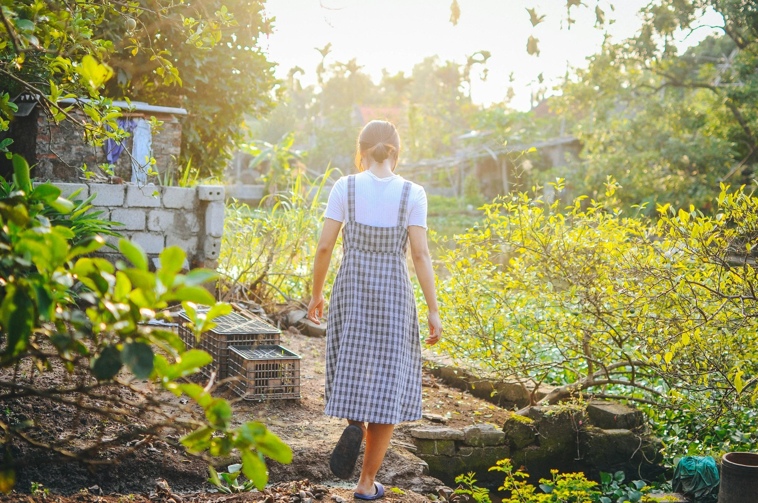 Woman walking through a sunlit garden, seen from behind.