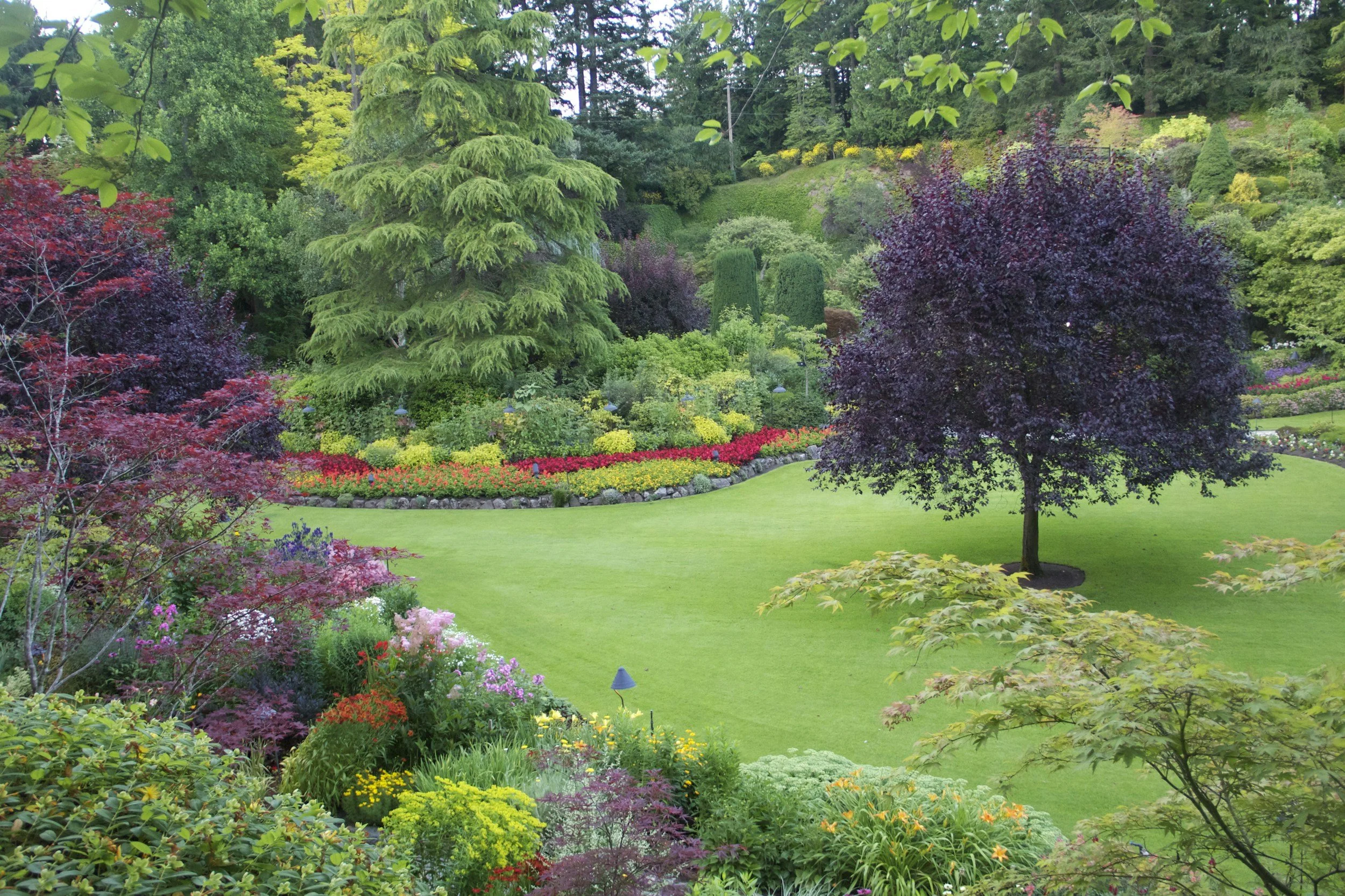 Lush garden with flowering beds, trees, shrubs, and a green lawn.