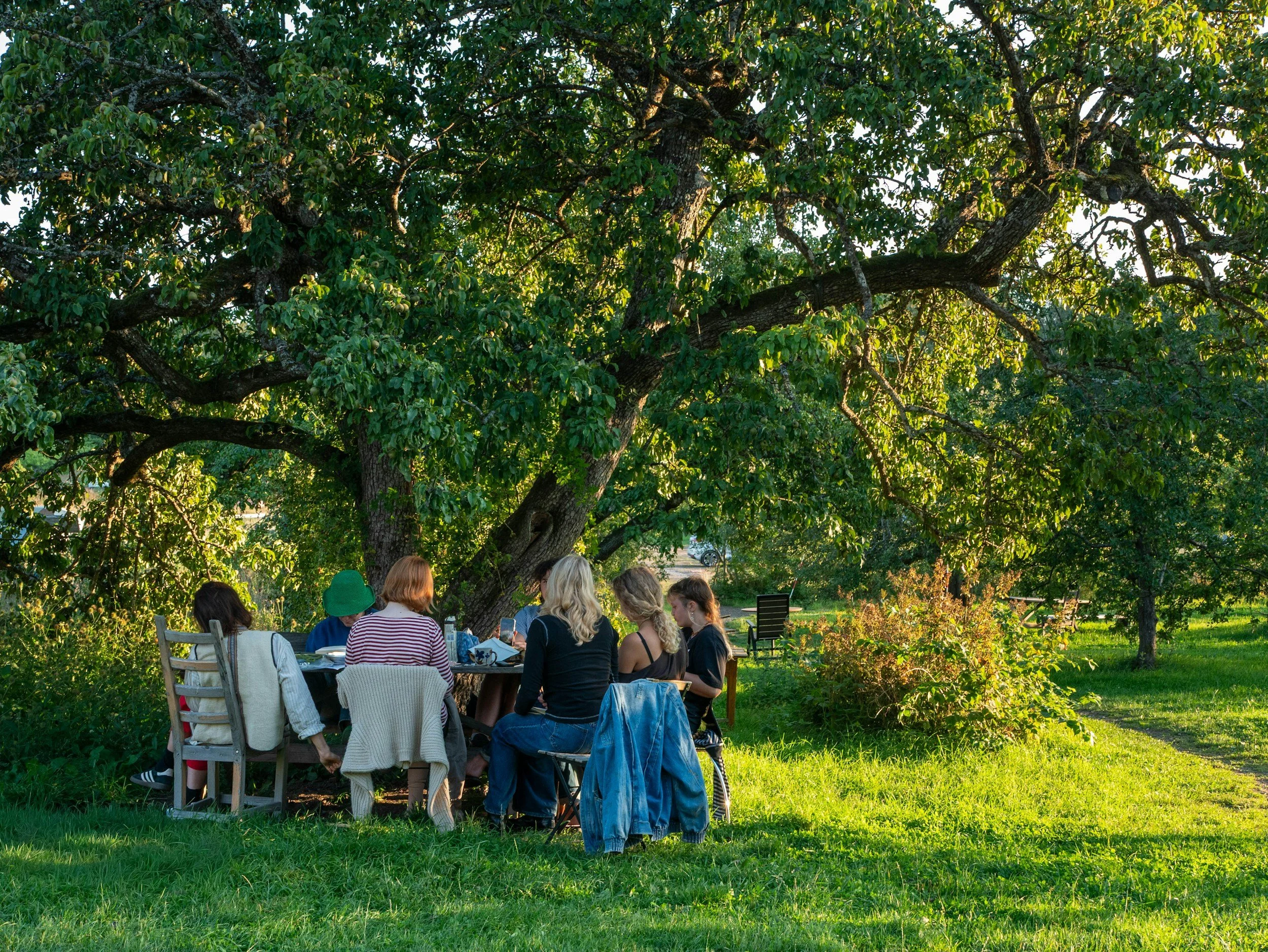 A mixed age group of people gathered around an outdoor table beneath a large leafy tree.