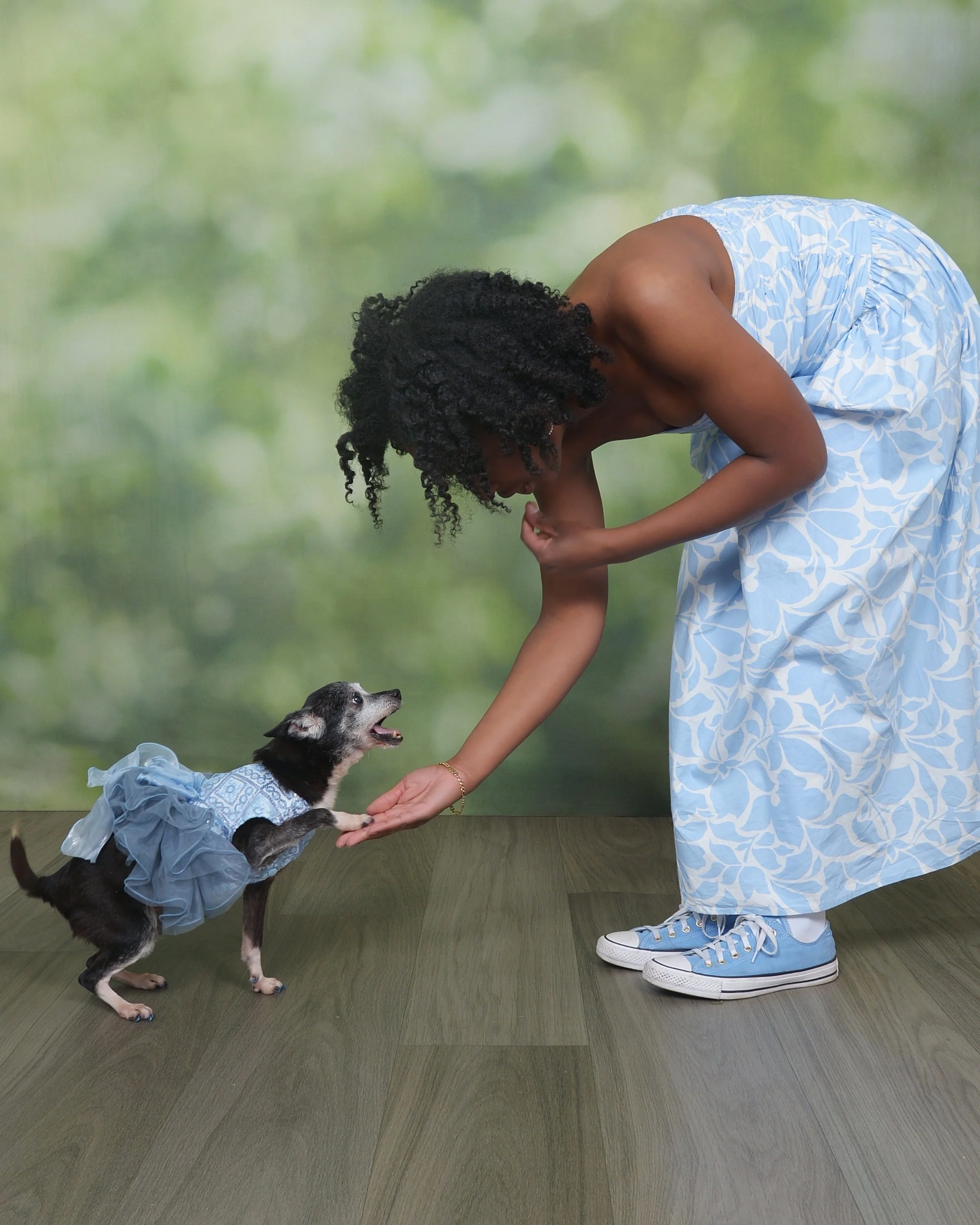 A woman wearing a light blue dress with white patterns is bending down and holding hands with a small black and white puppy dressed in a matching blue dress. The woman is wearing blue and white sneakers, and the background is a blurred green outdoor scene.