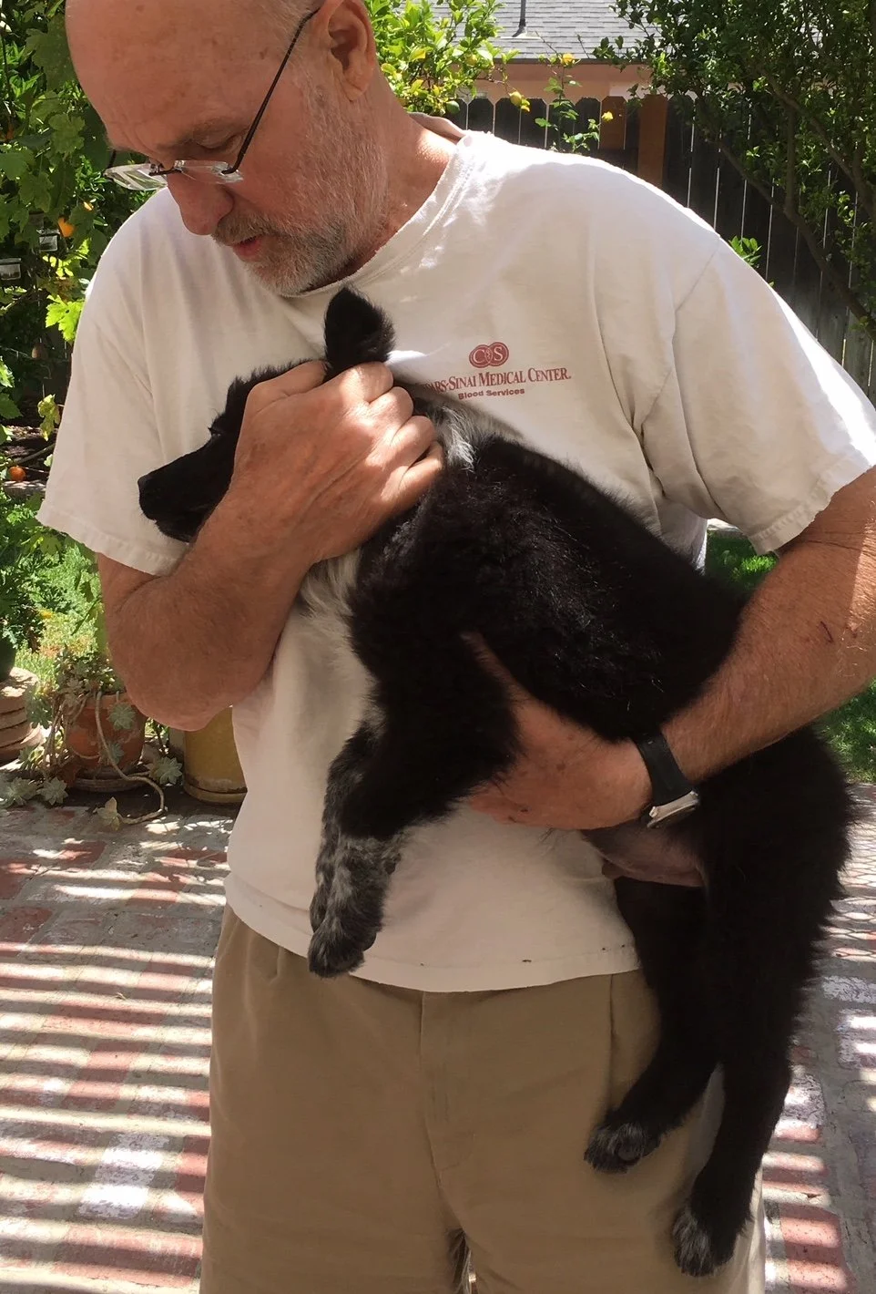 cuddleDug.jpg