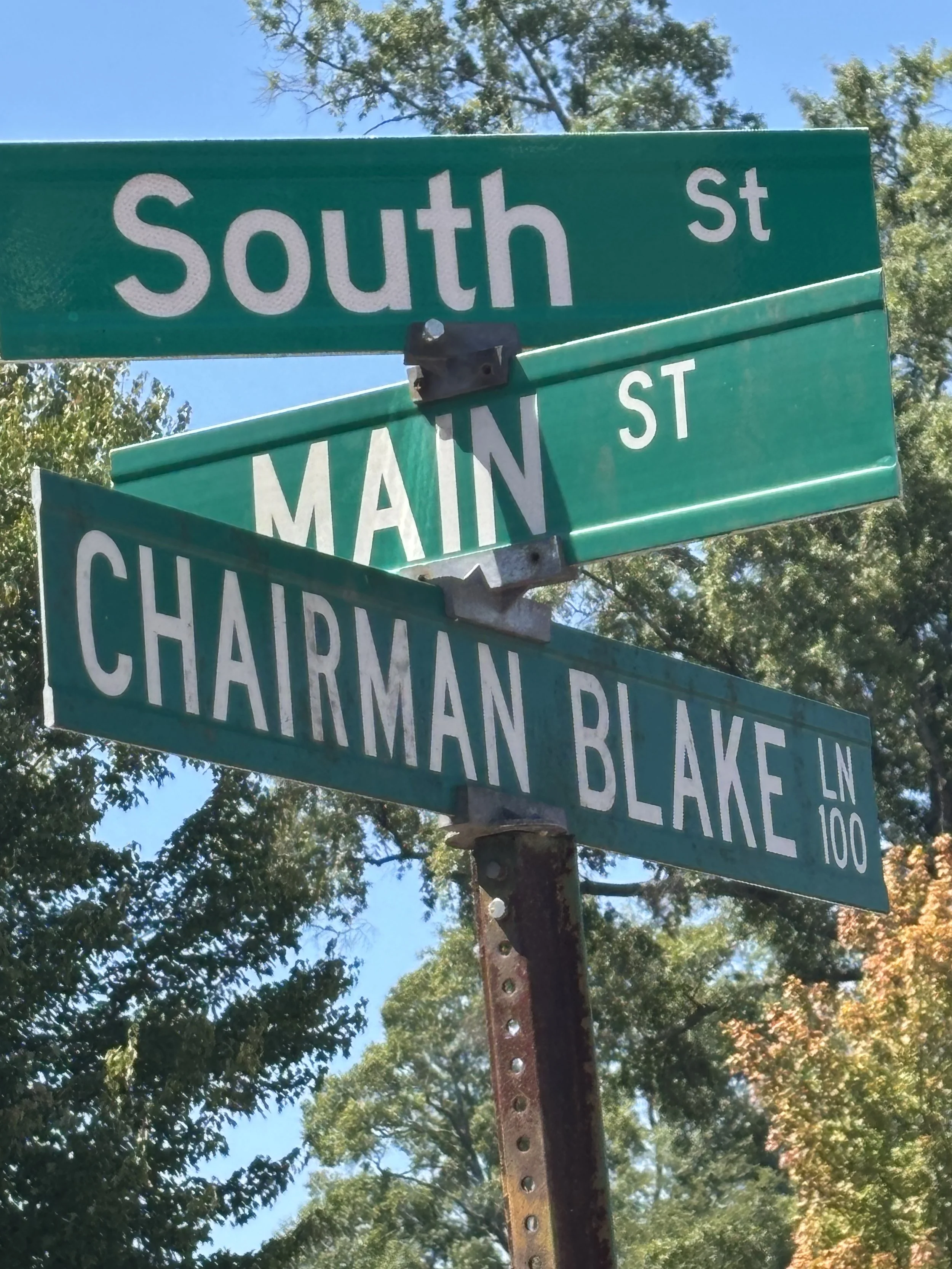 Street signs indicating the intersection of South Street, Main Street, and Charman Blake Lane, with trees and a blue sky in the background.